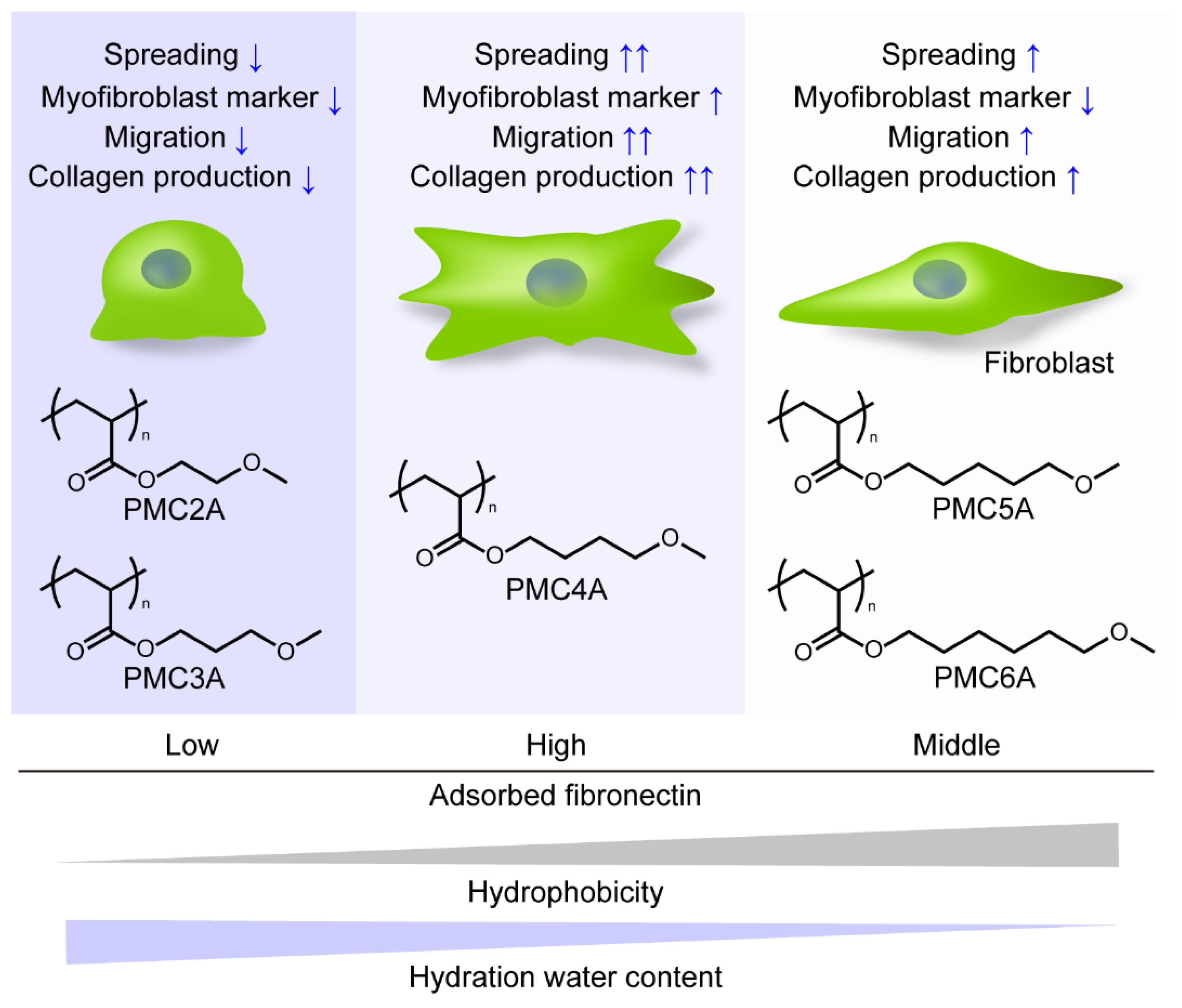 Coatings 11 00461 g008