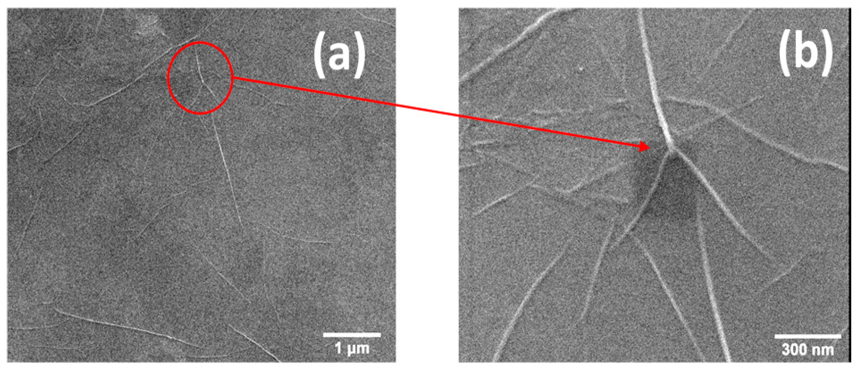 Coatings 11 00462 g009