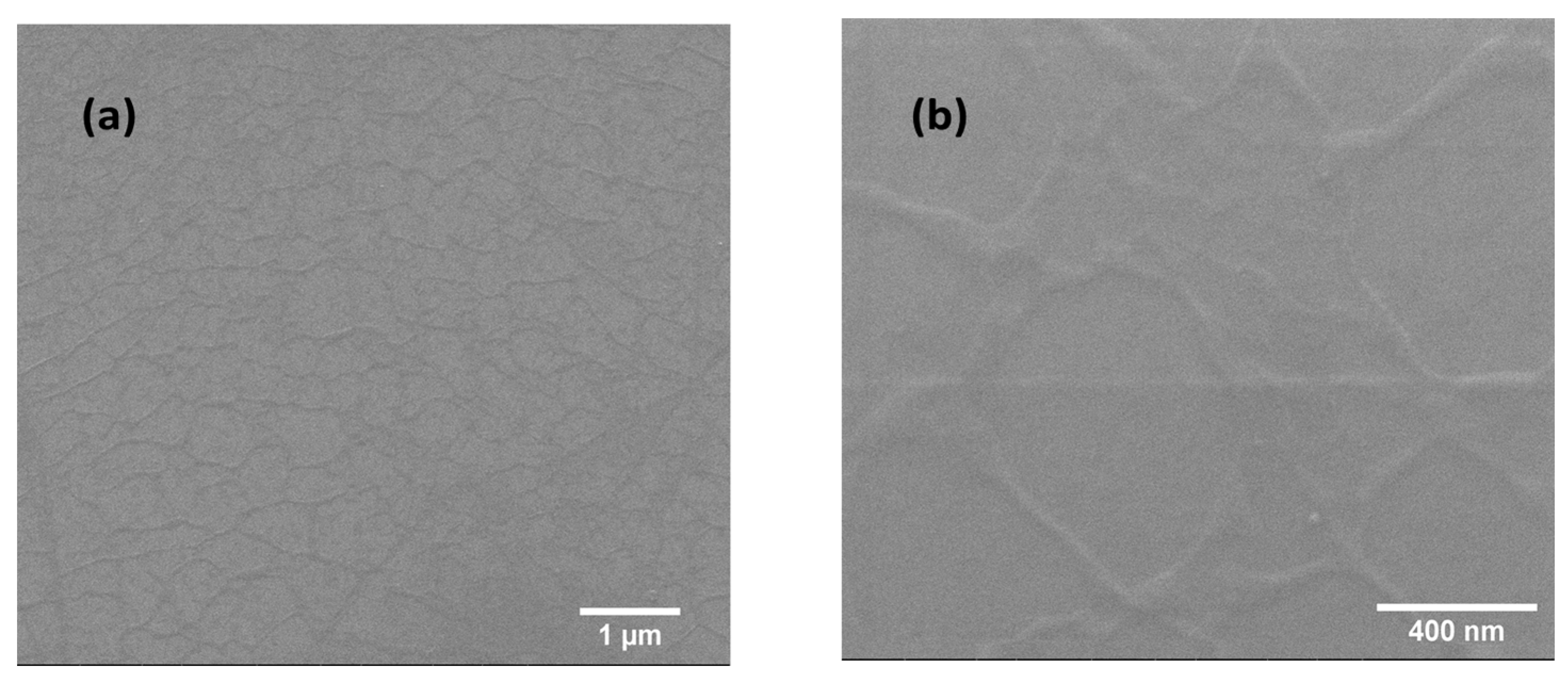 Coatings 11 00462 g018
