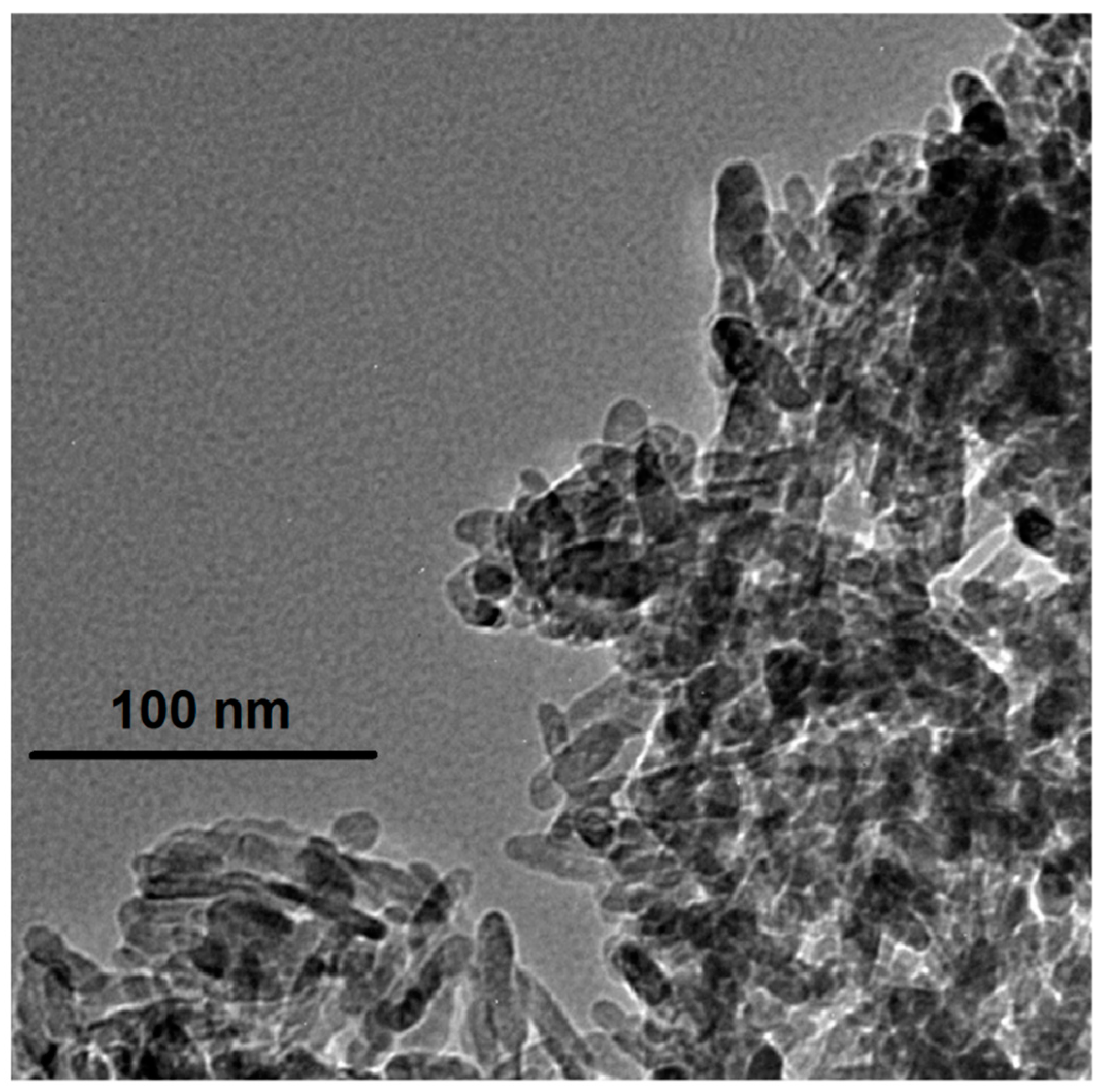 Coatings 11 00464 g002