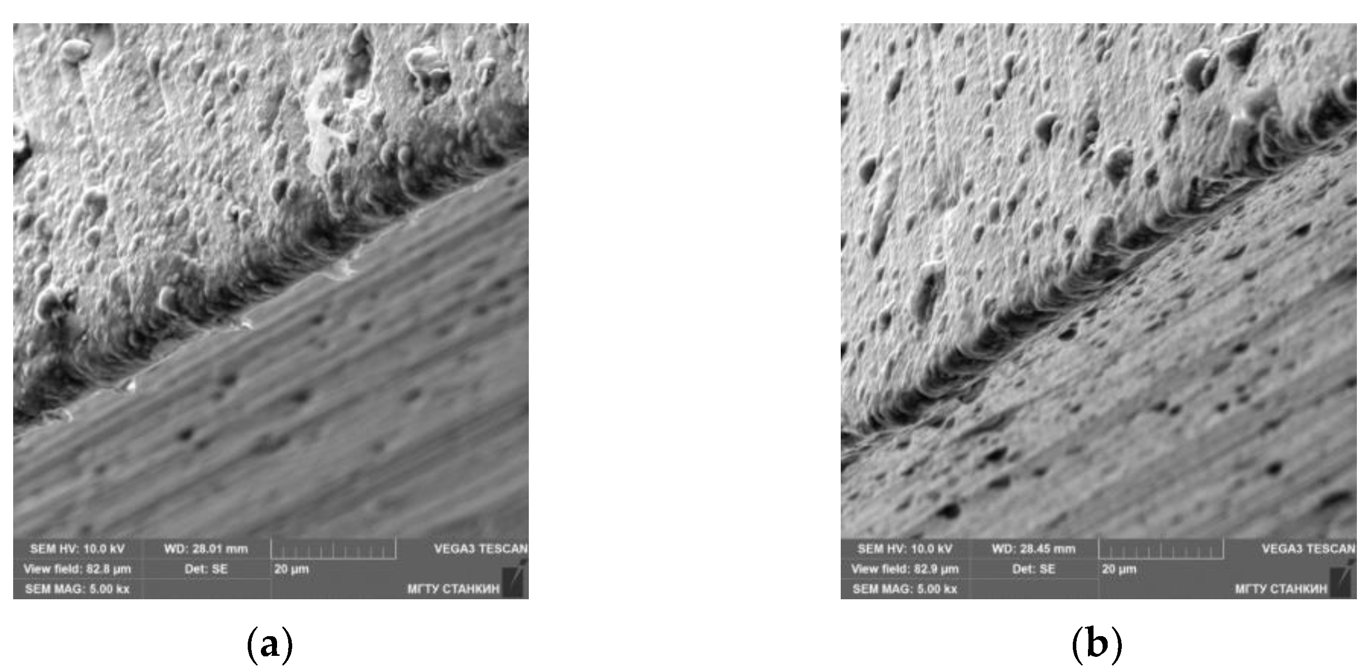 Coatings 11 00465 g013 Coatings 11 00465 g013