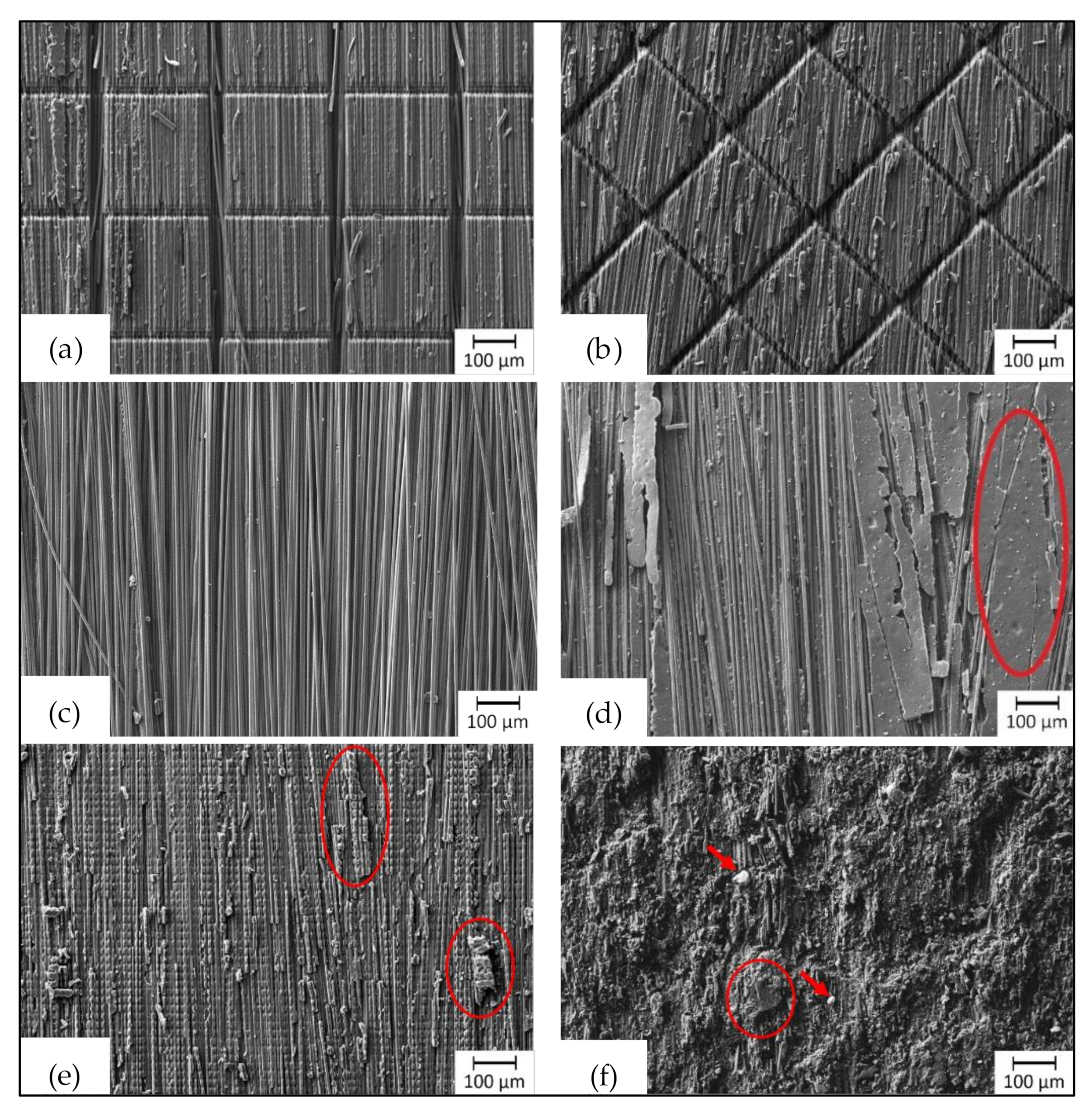 Coatings 11 00467 g003