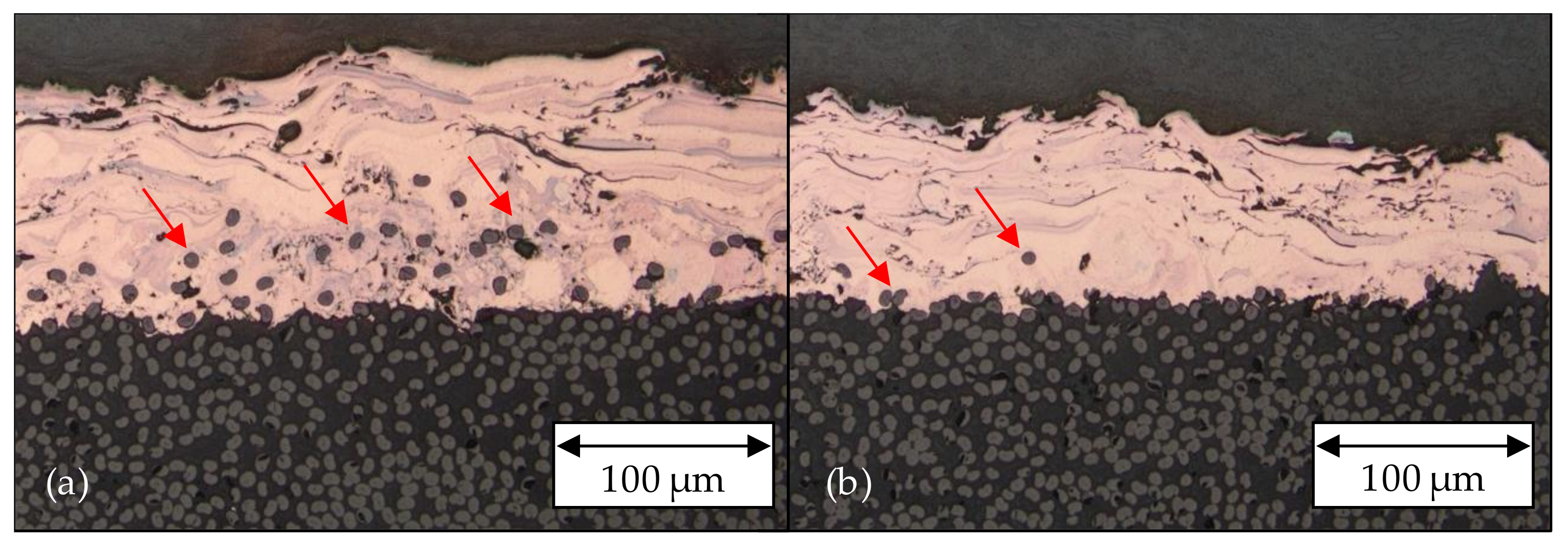 Coatings 11 00467 g009