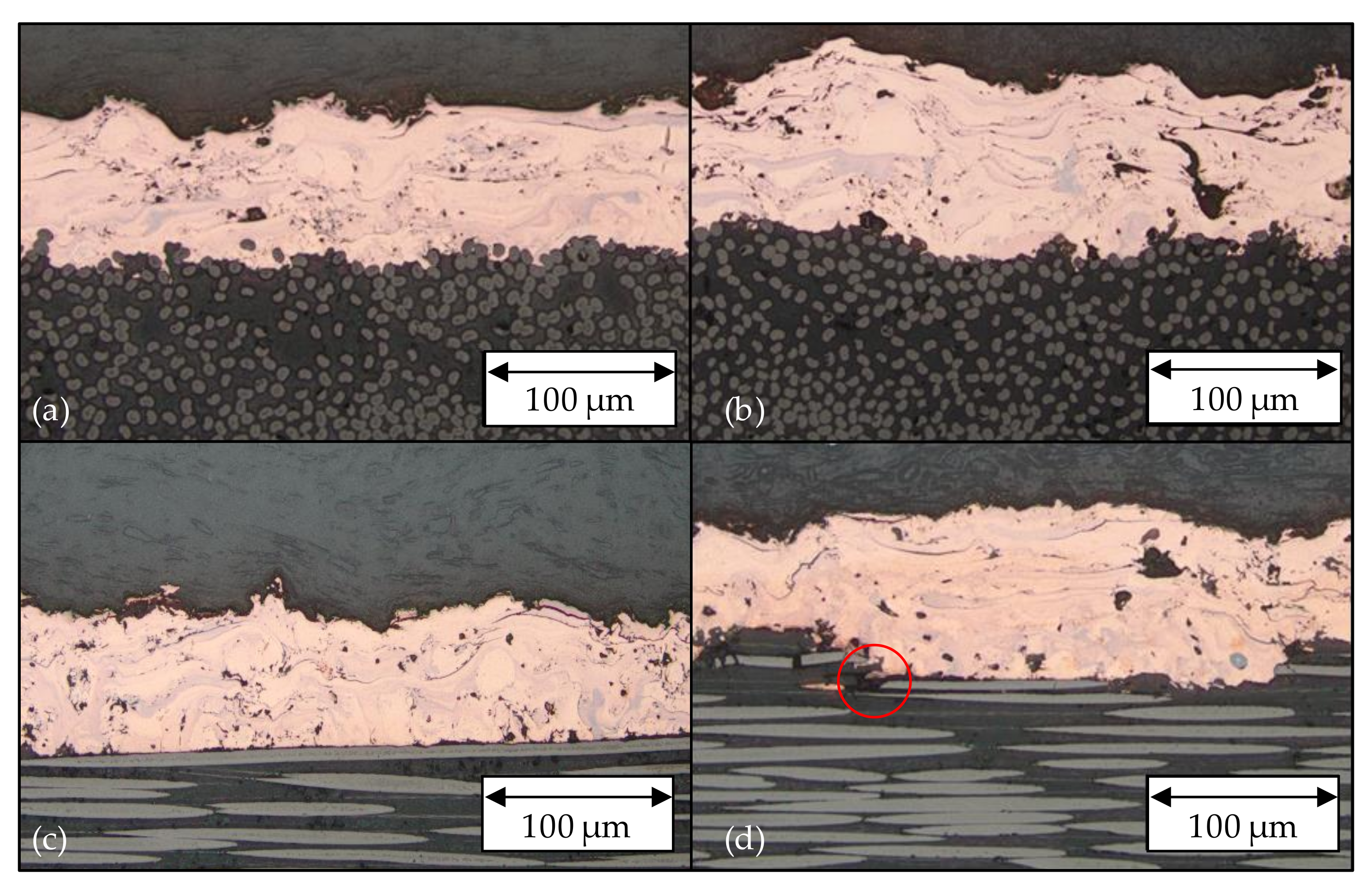 Coatings 11 00467 g010