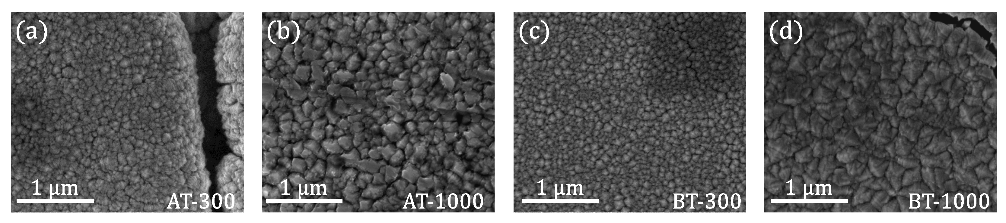 Coatings 11 00468 g007