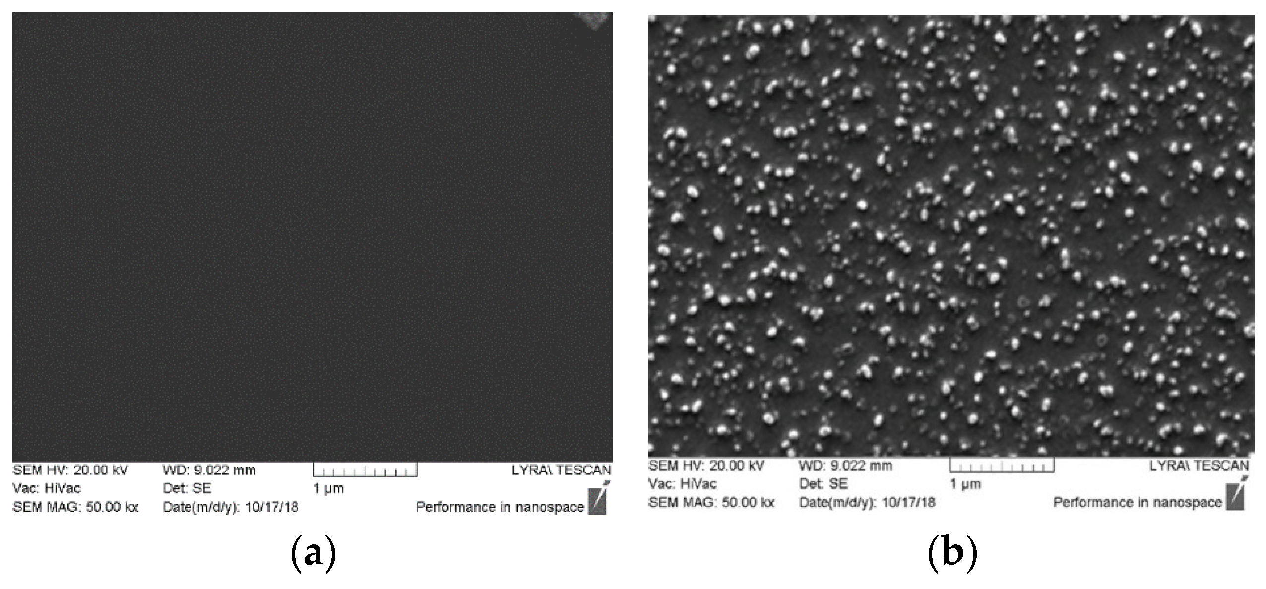 Coatings 11 00473 g002 Coatings 11 00473 g002