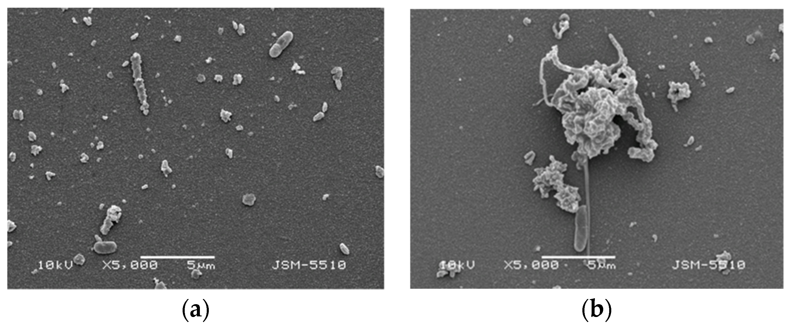 Coatings 11 00473 g006 Coatings 11 00473 g006