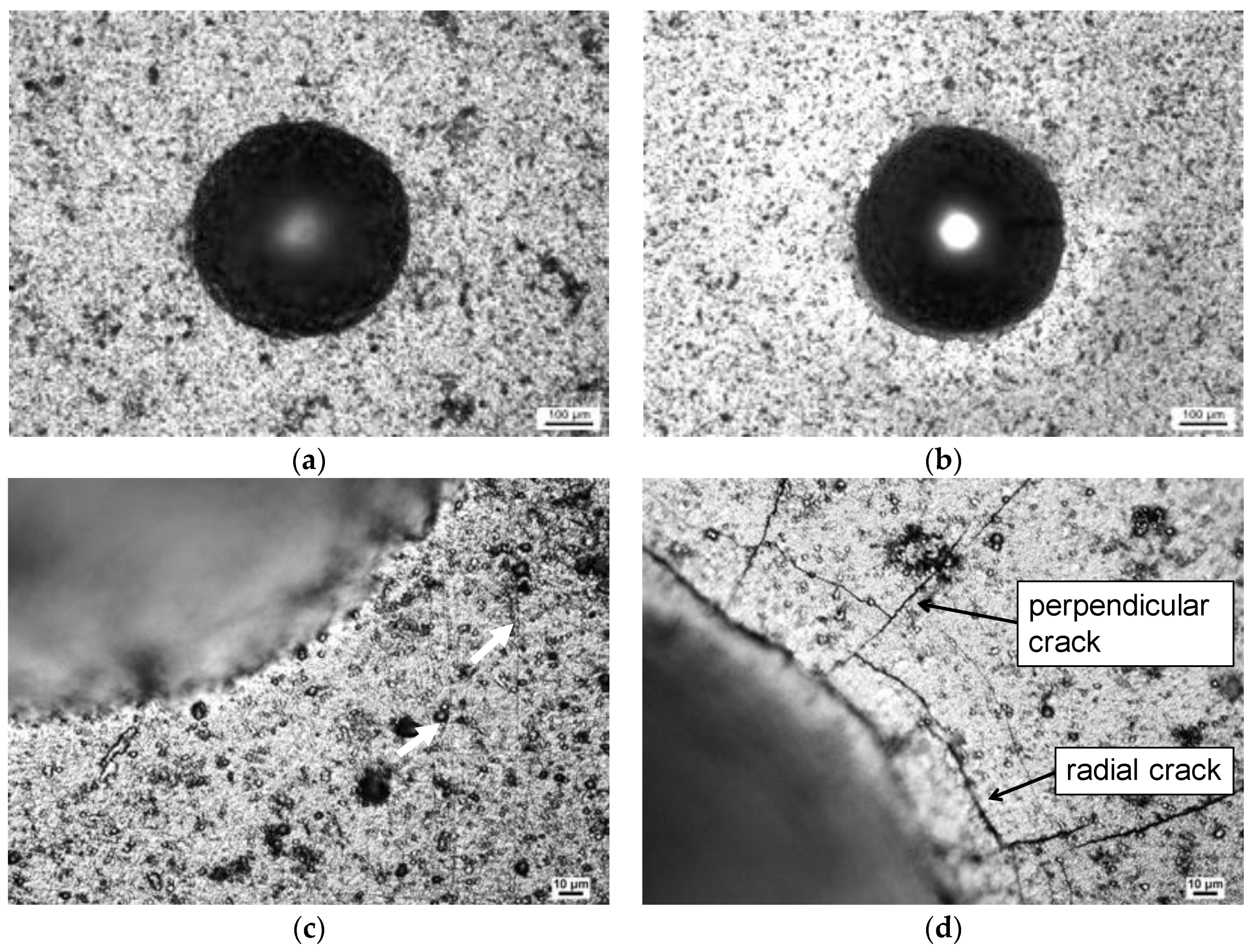 Coatings 11 00475 g003