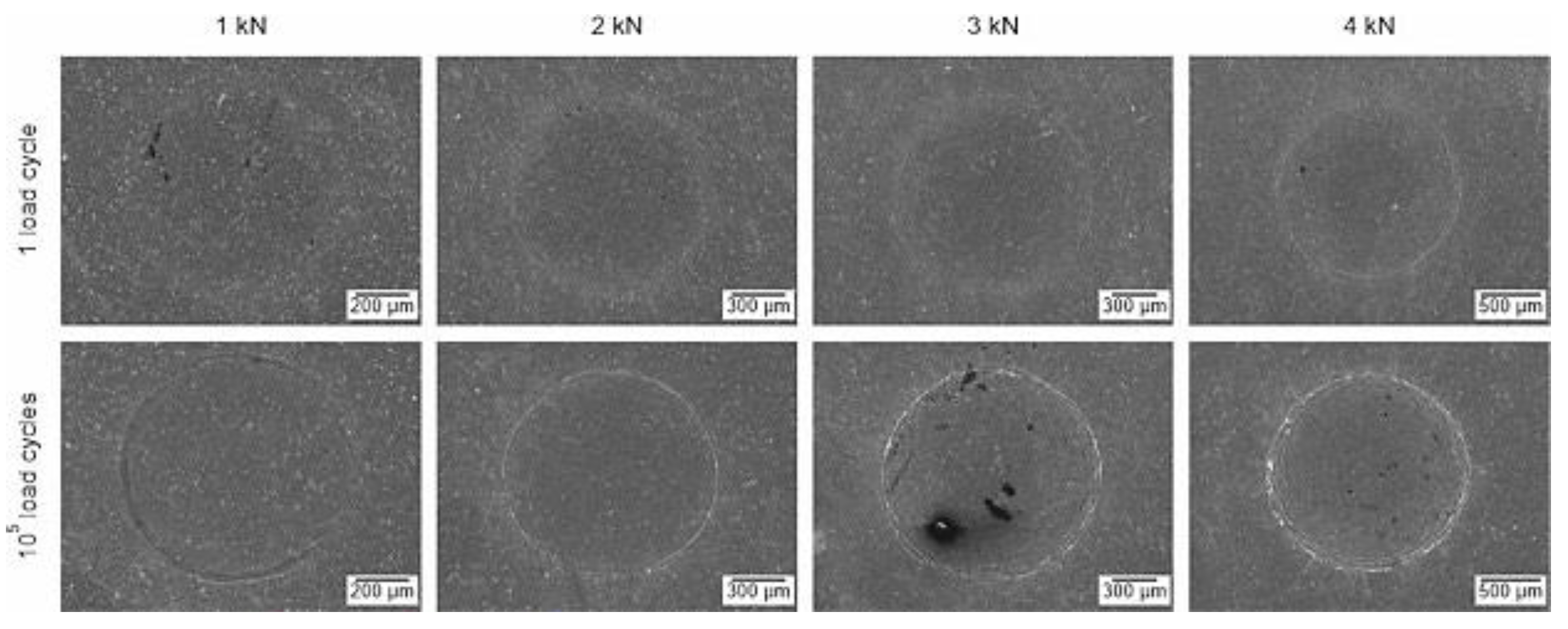 Coatings 11 00475 g010