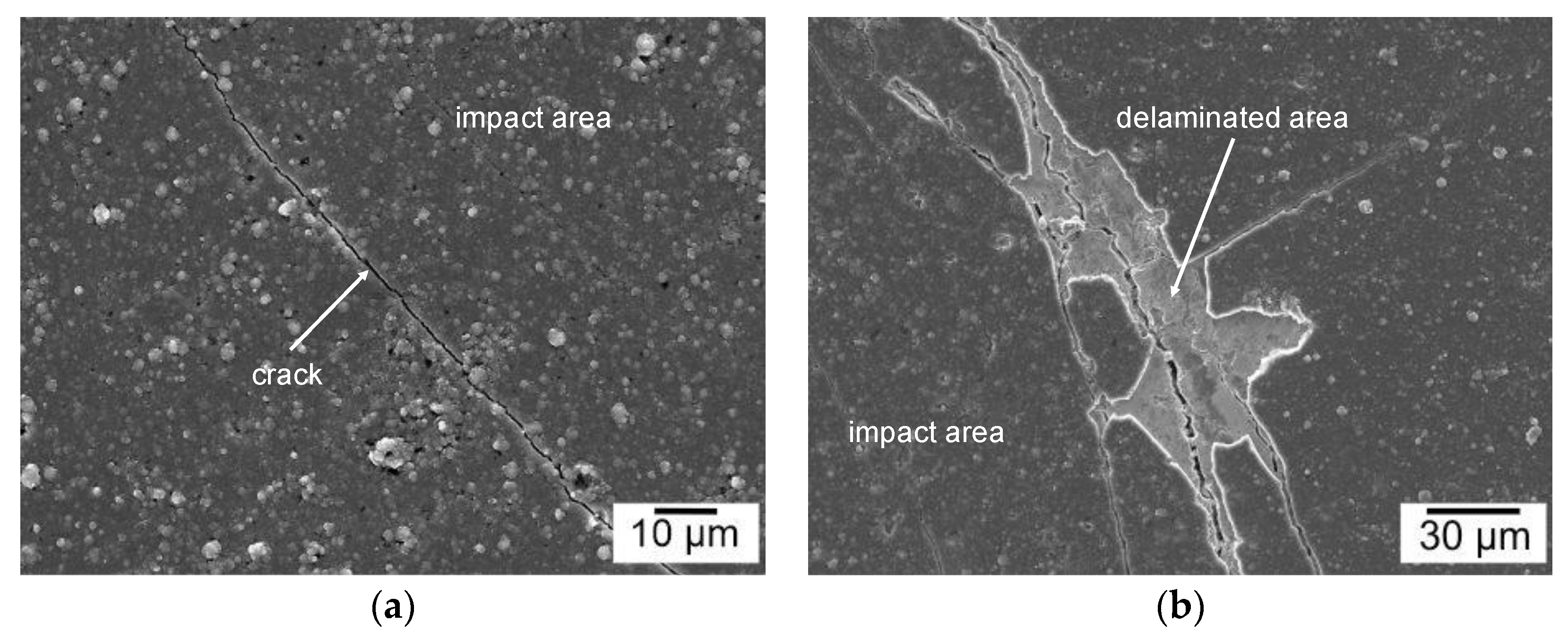 Coatings 11 00475 g011