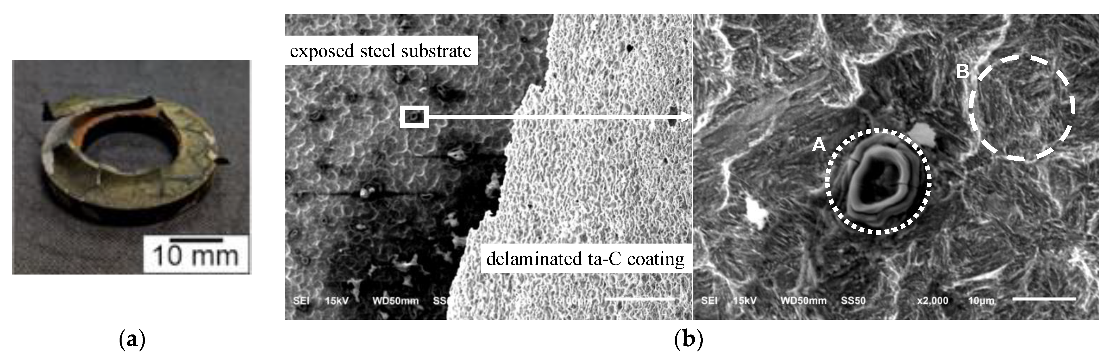 Coatings 11 00475 g013