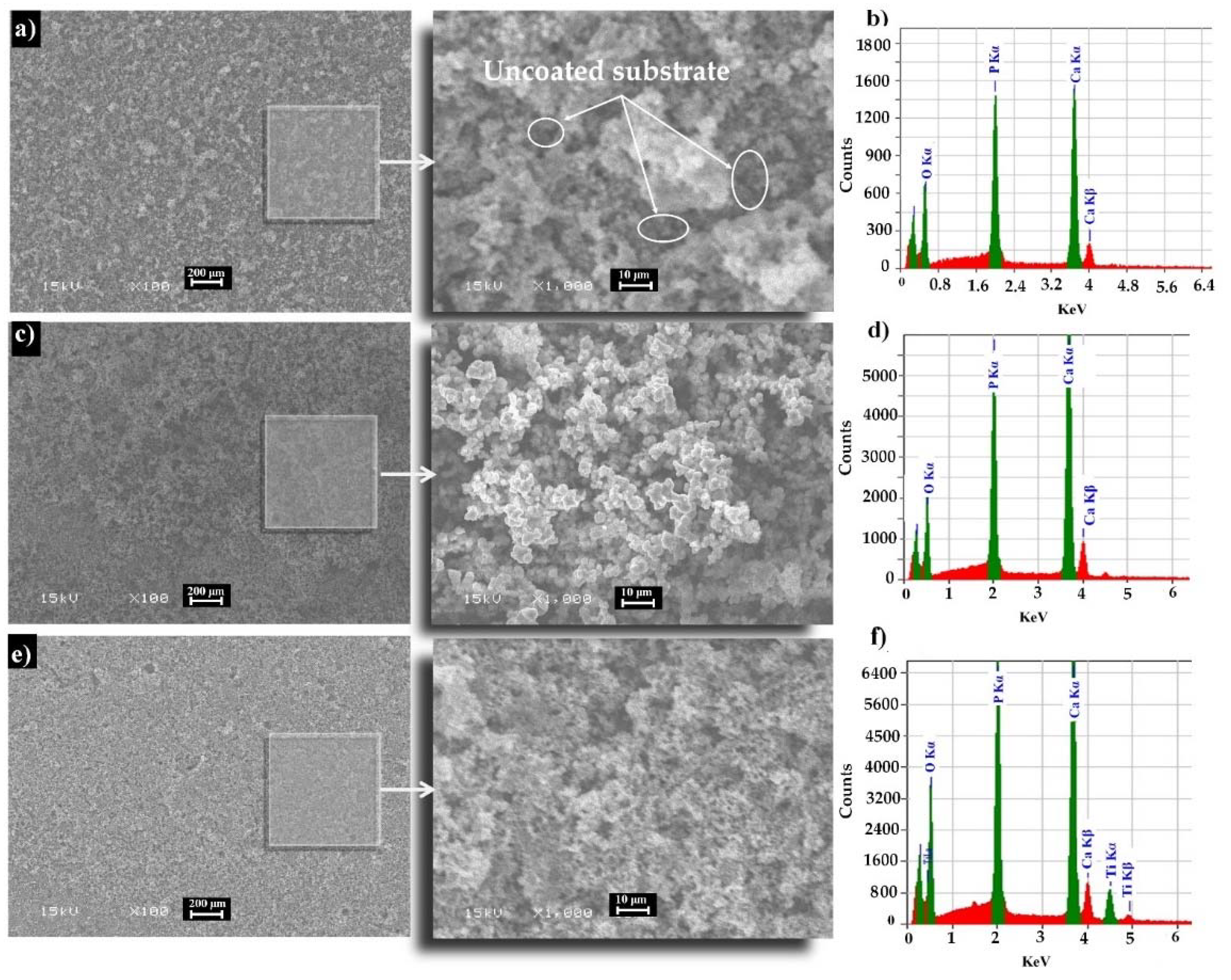 Coatings 11 00477 g002
