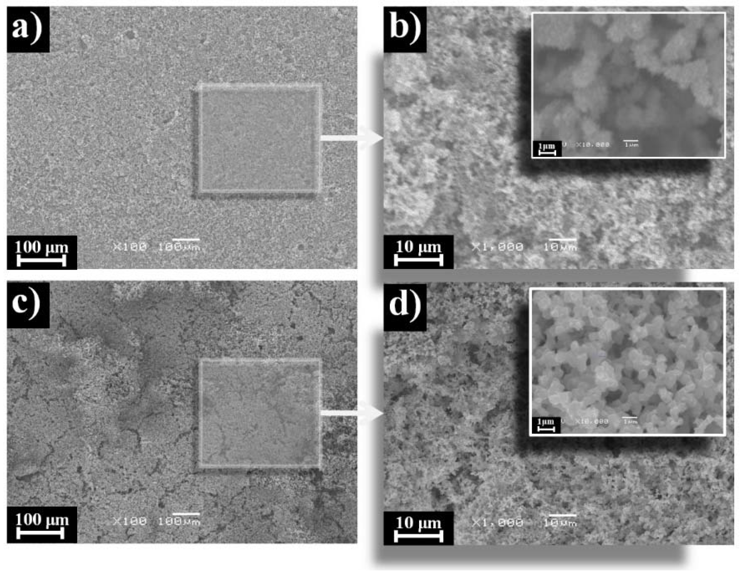 Coatings 11 00477 g005