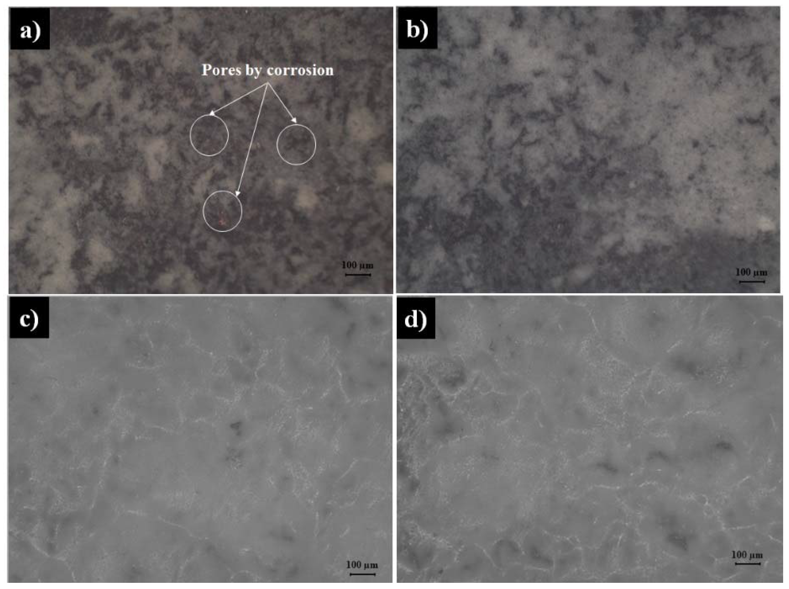 Coatings 11 00477 g012