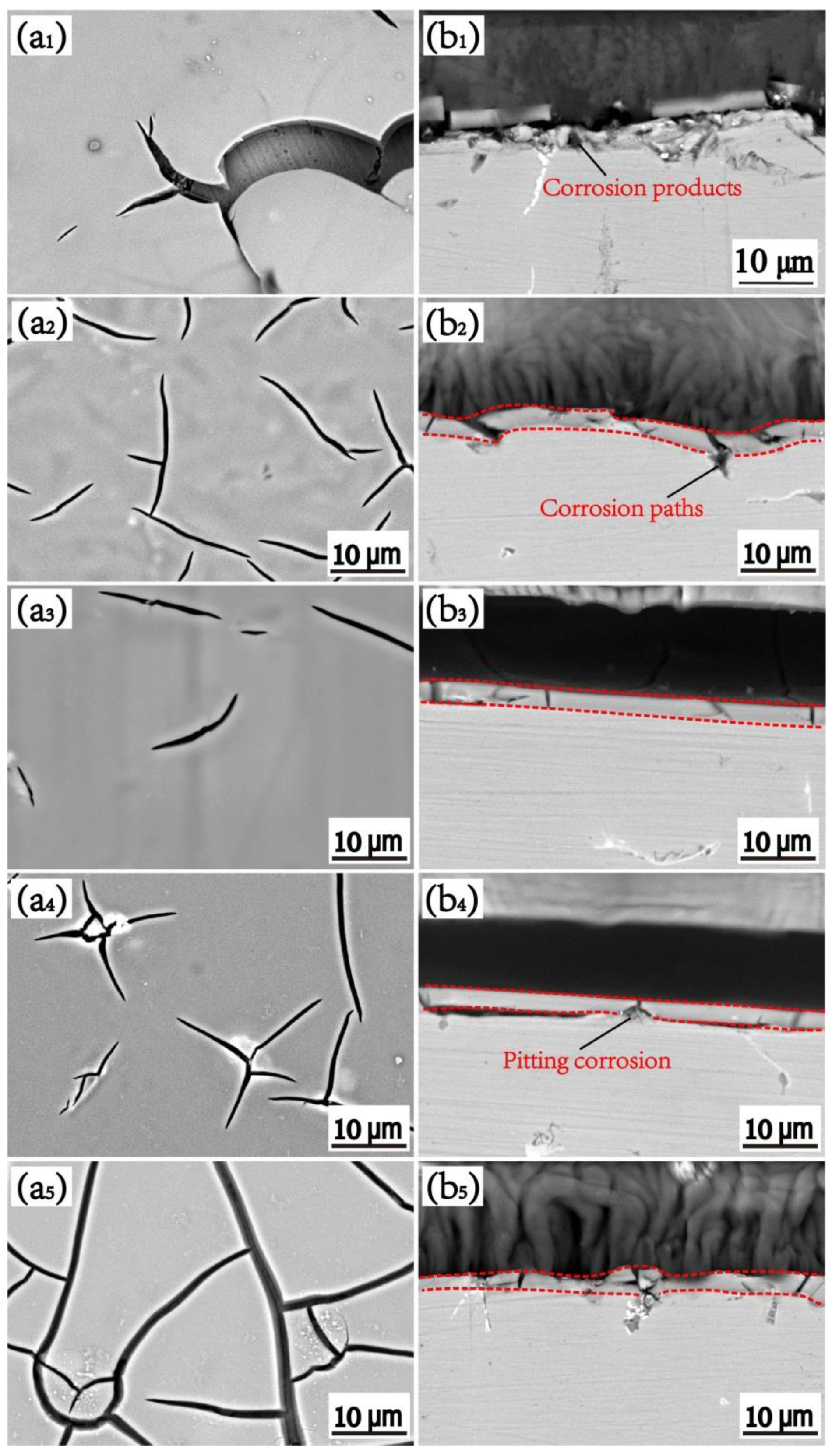 Coatings 11 00478 g006 Coatings 11 00478 g006