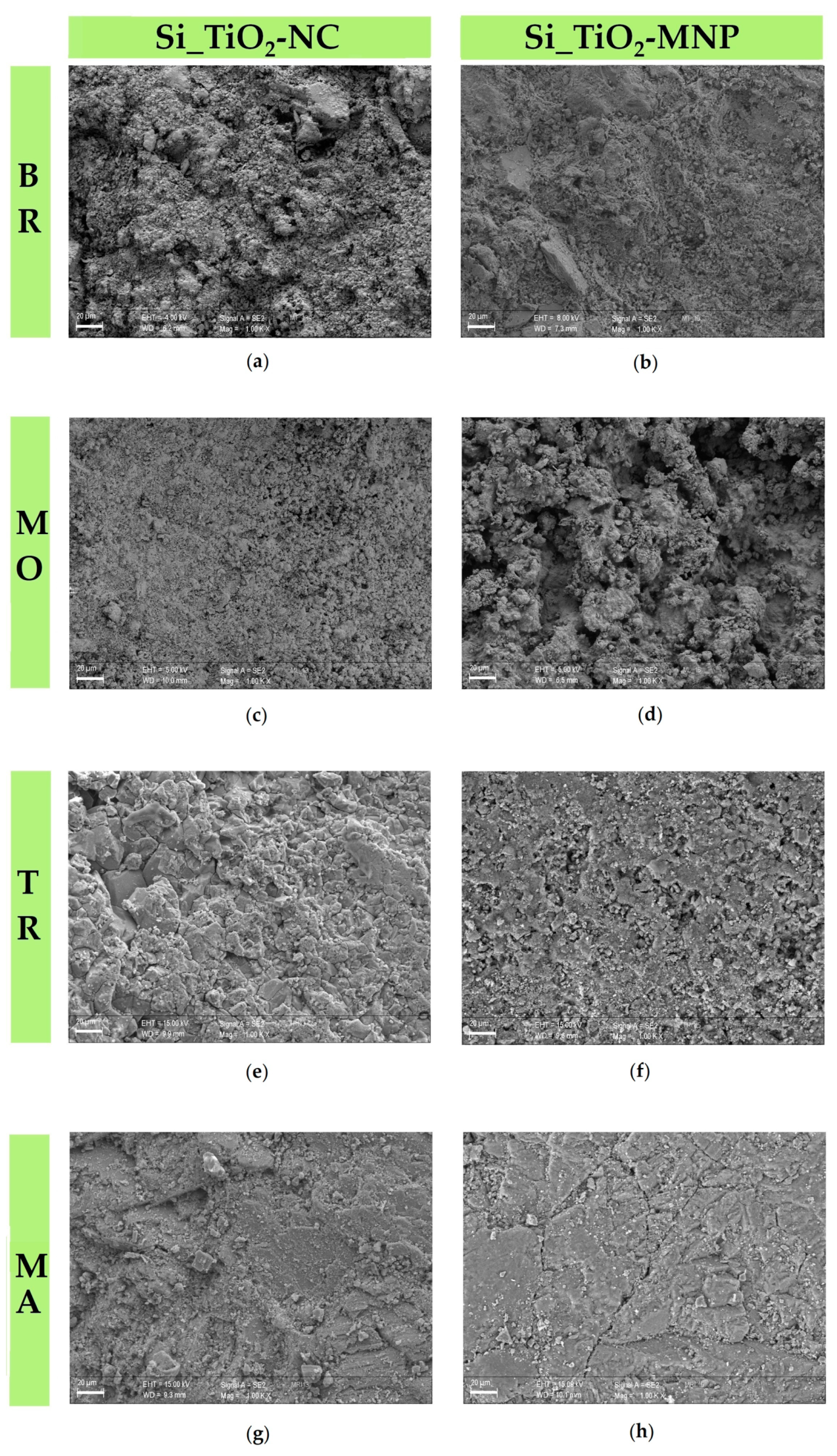 Coatings 11 00480 g004