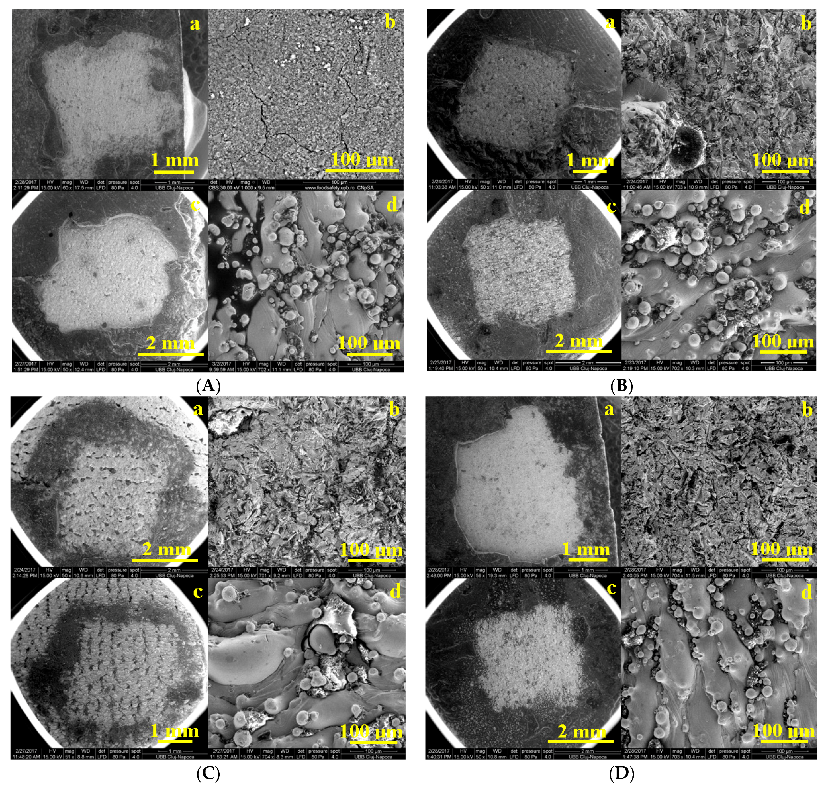 Coatings 11 00483 g007