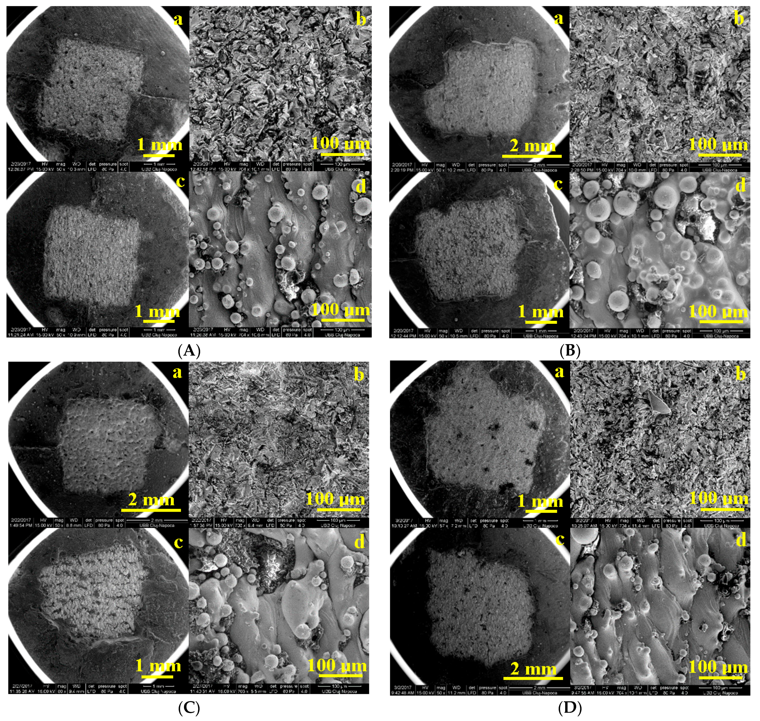 Coatings 11 00483 g008