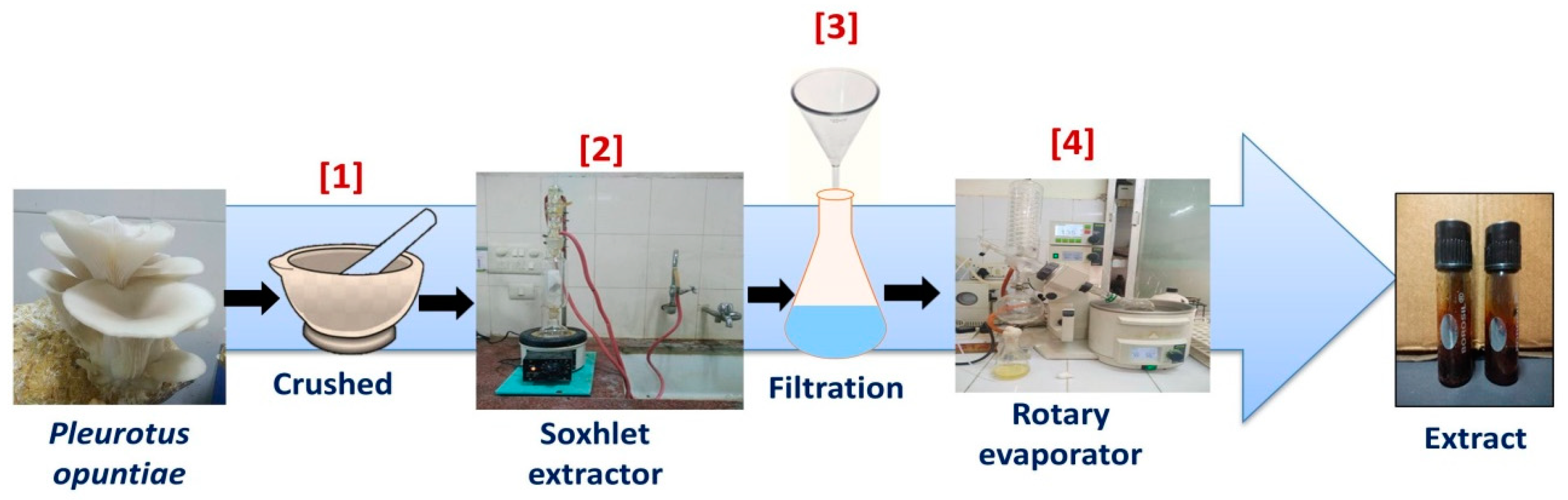 Coatings 11 00484 g001