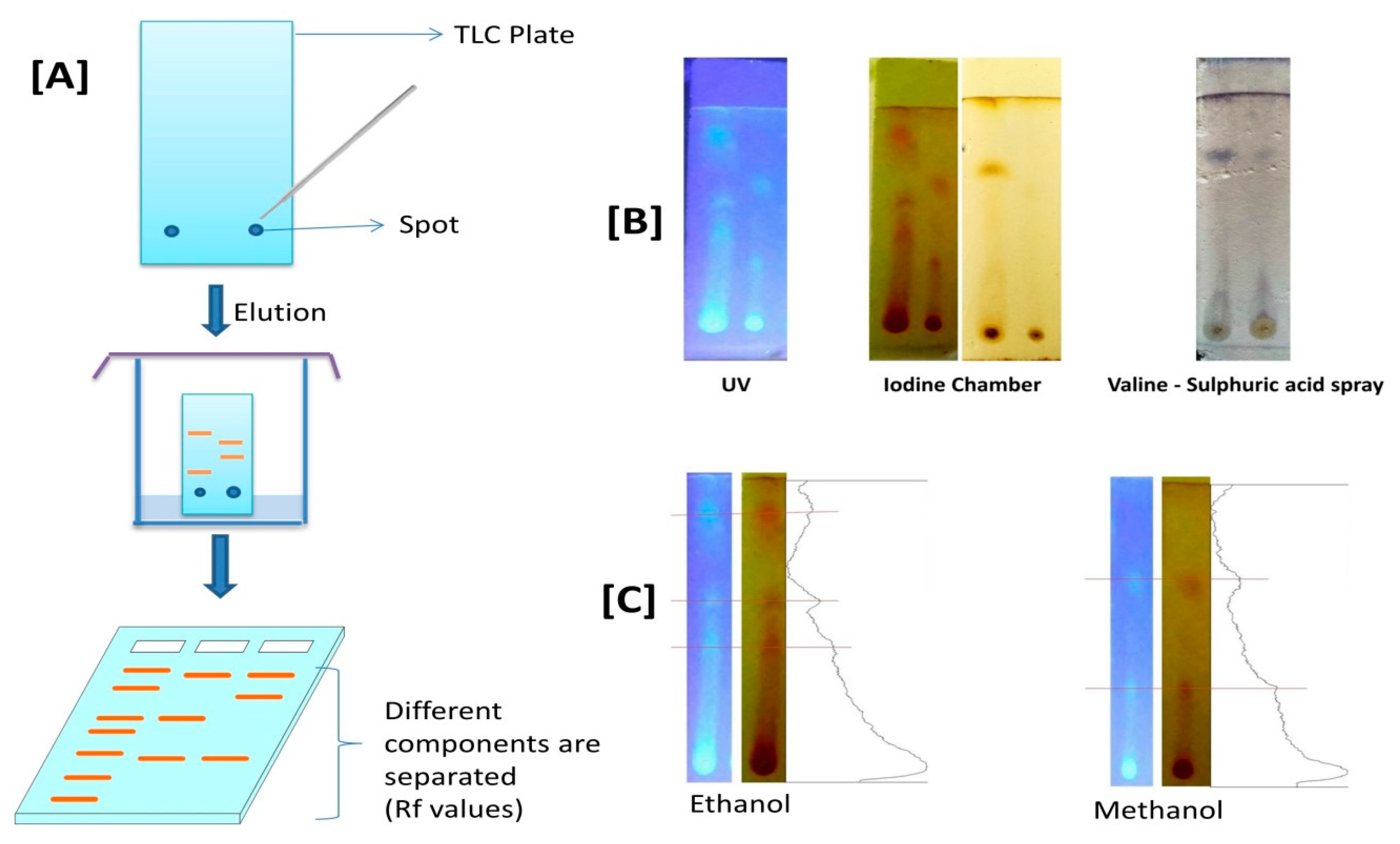 Coatings 11 00484 g004