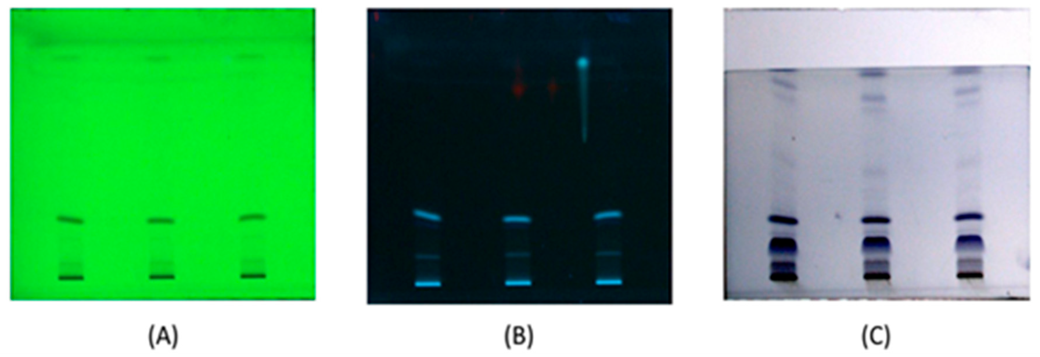 Coatings 11 00484 g005