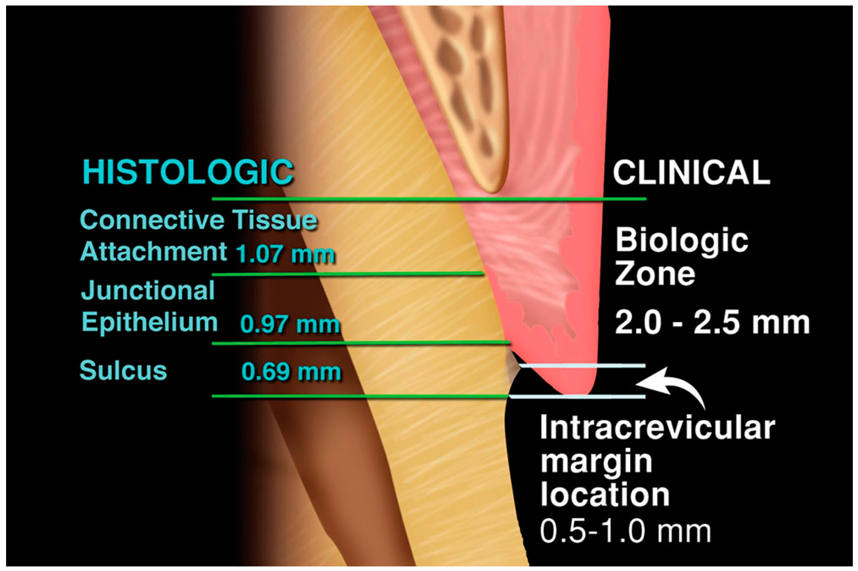 Coatings 11 00485 g001 Coatings 11 00485 g001