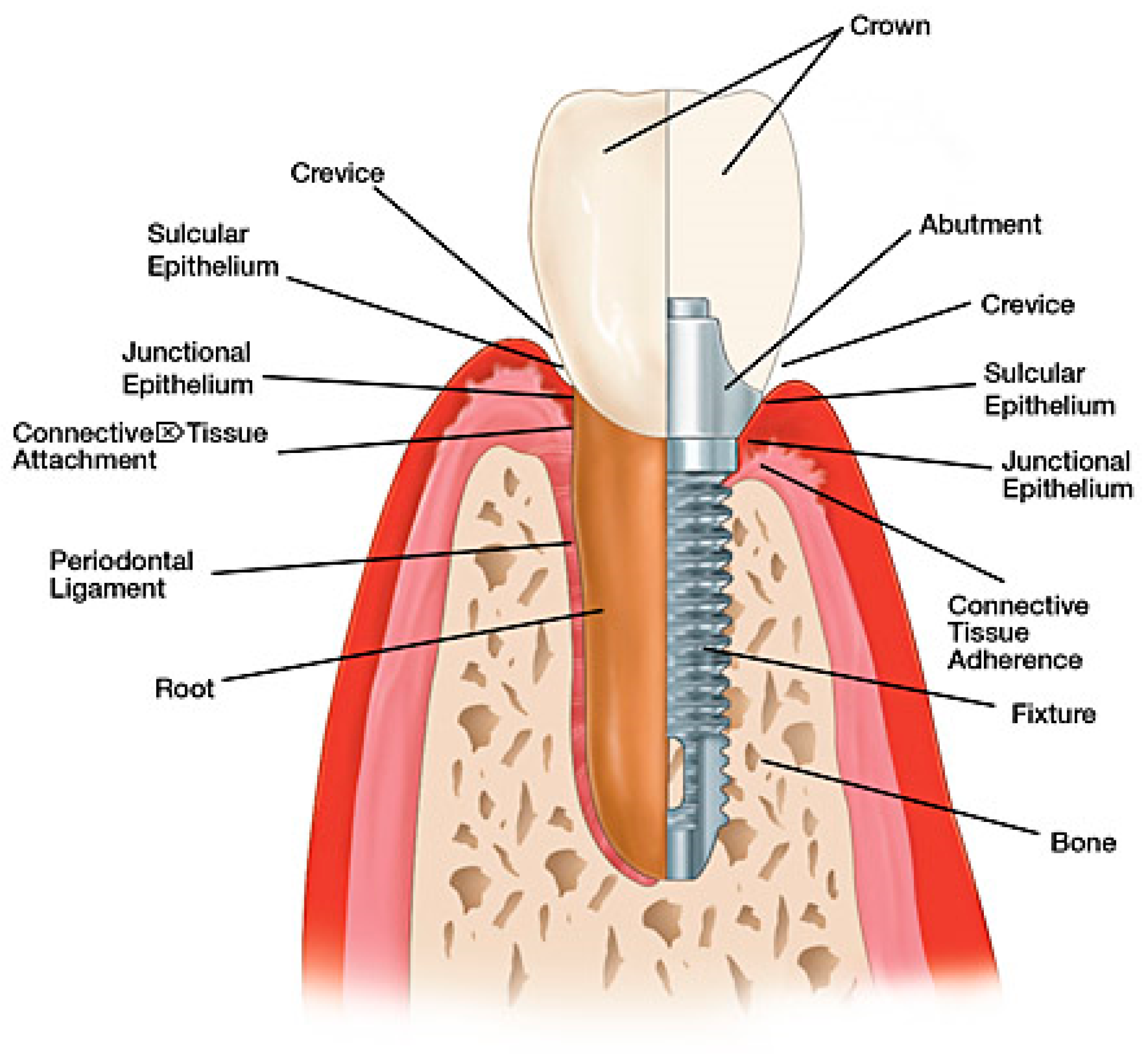 Coatings 11 00485 g002 Coatings 11 00485 g002