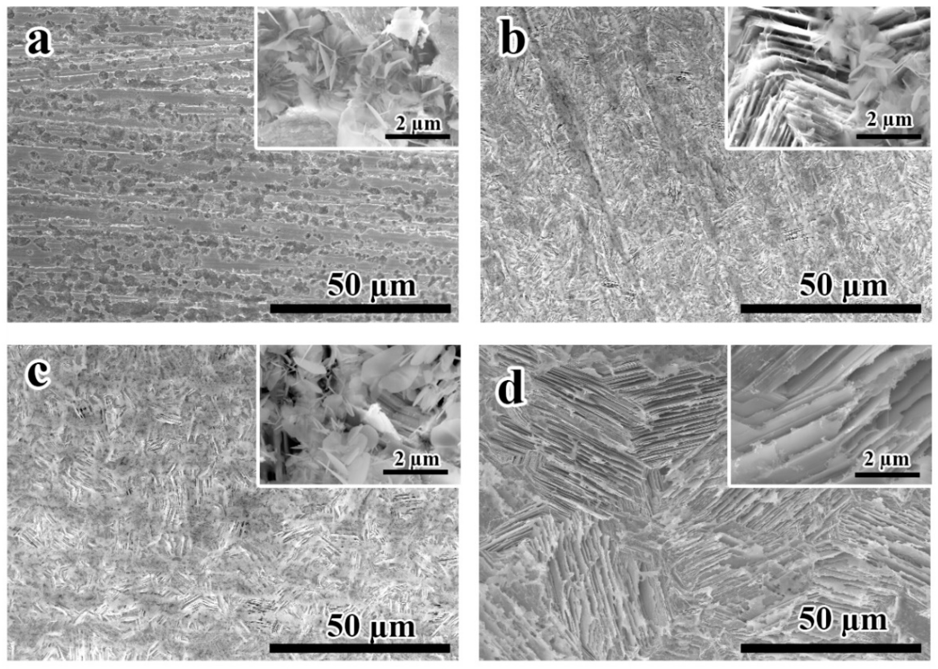 Coatings 11 00486 g002 Coatings 11 00486 g002