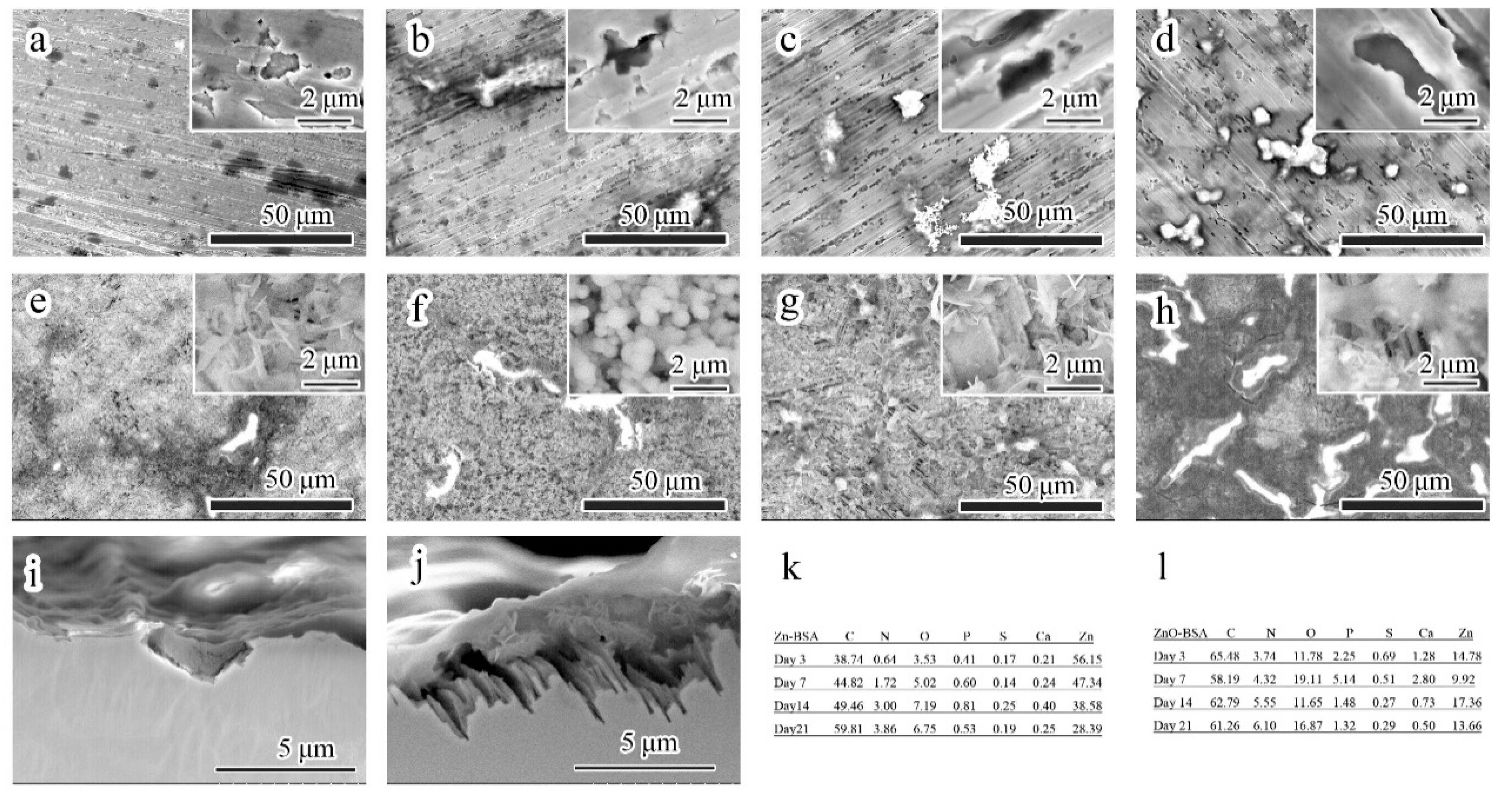 Coatings 11 00486 g007 Coatings 11 00486 g007