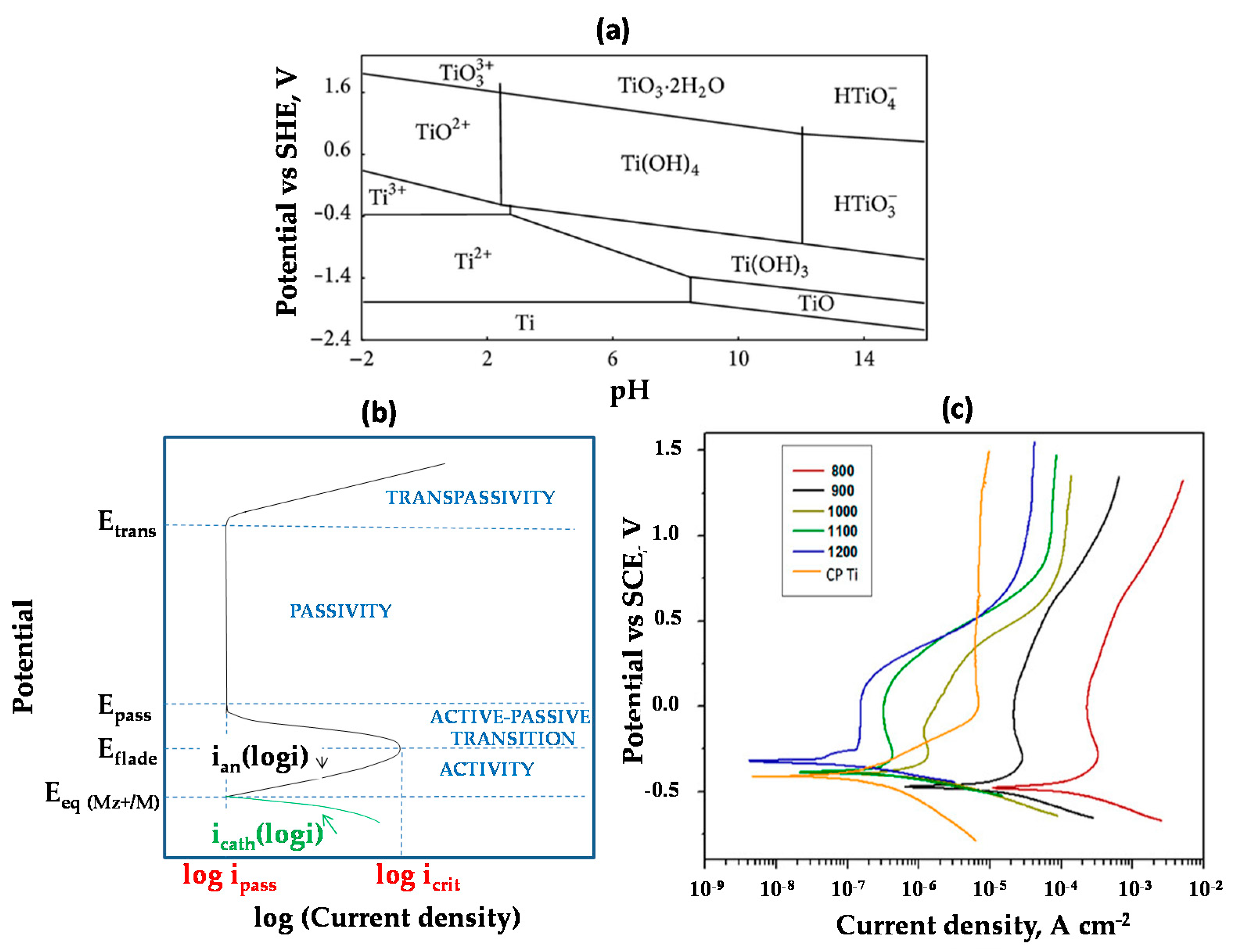 Coatings 11 00487 g005