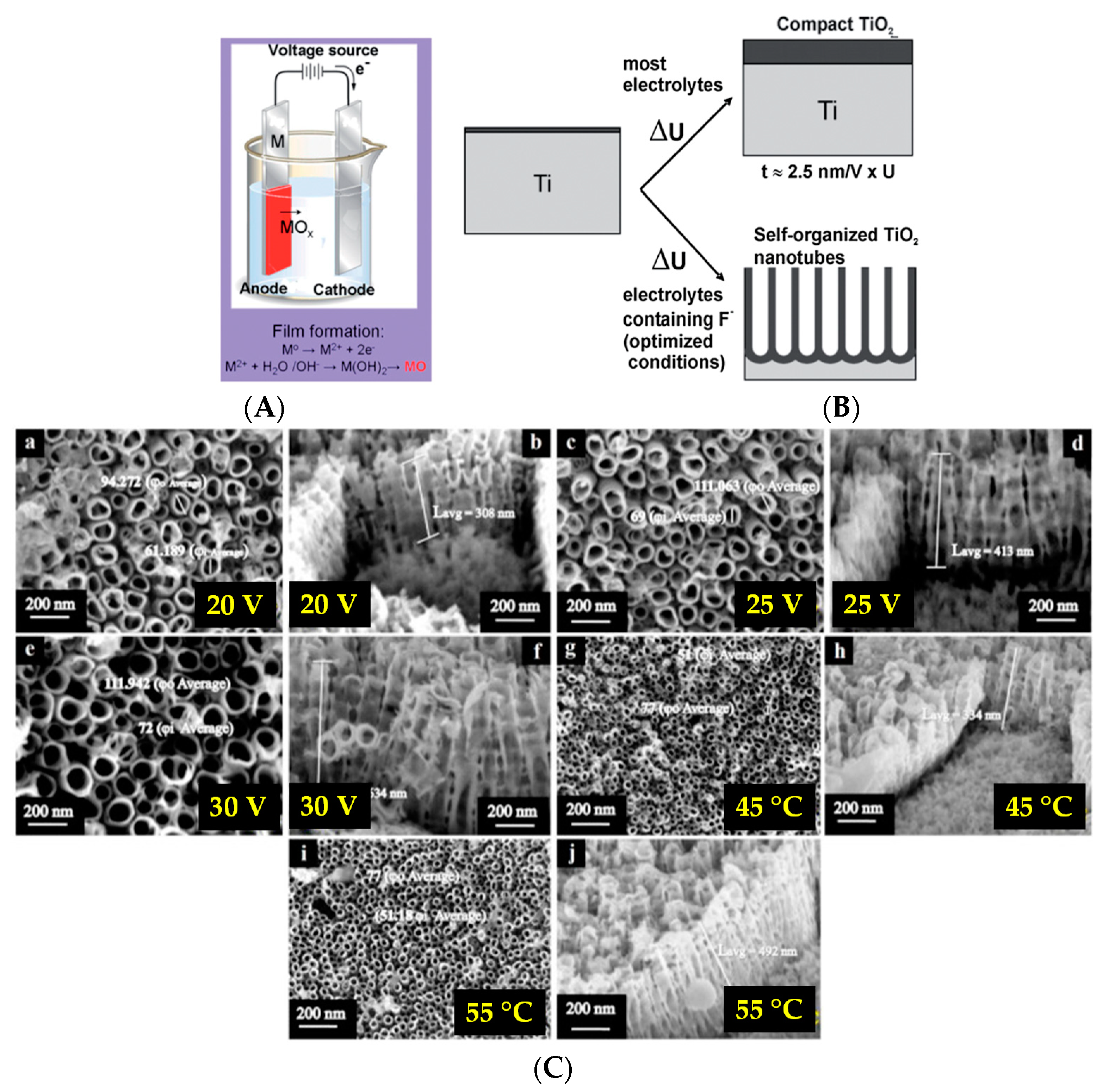 Coatings 11 00487 g008