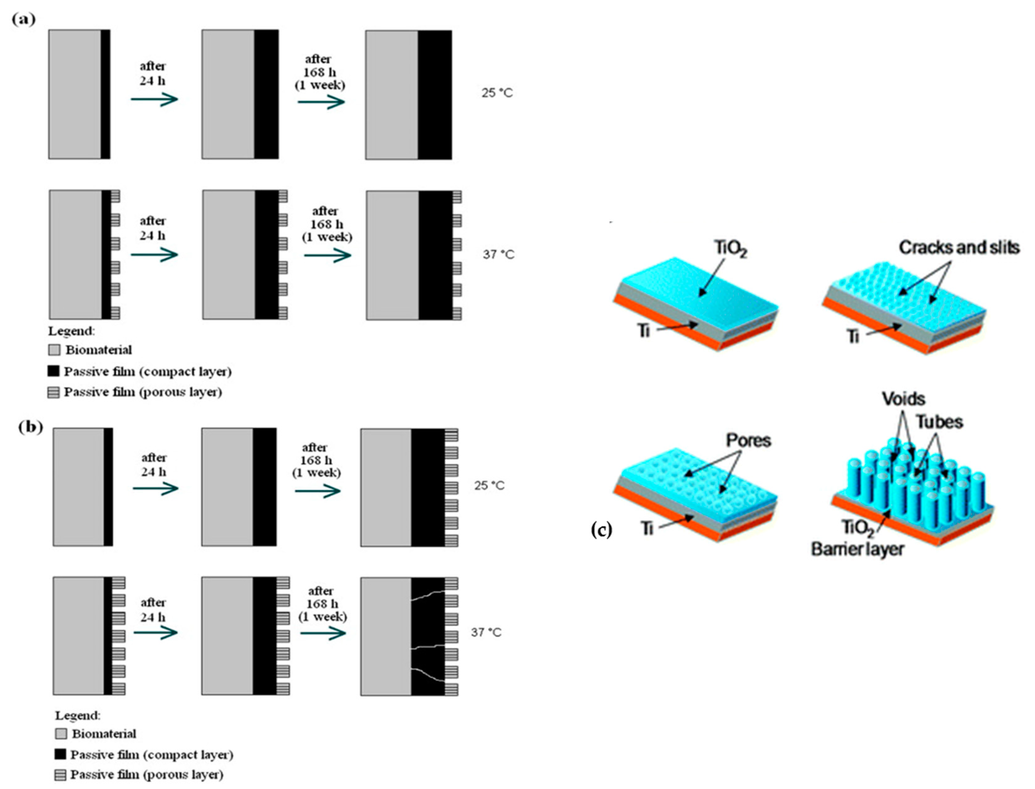 Coatings 11 00487 g009