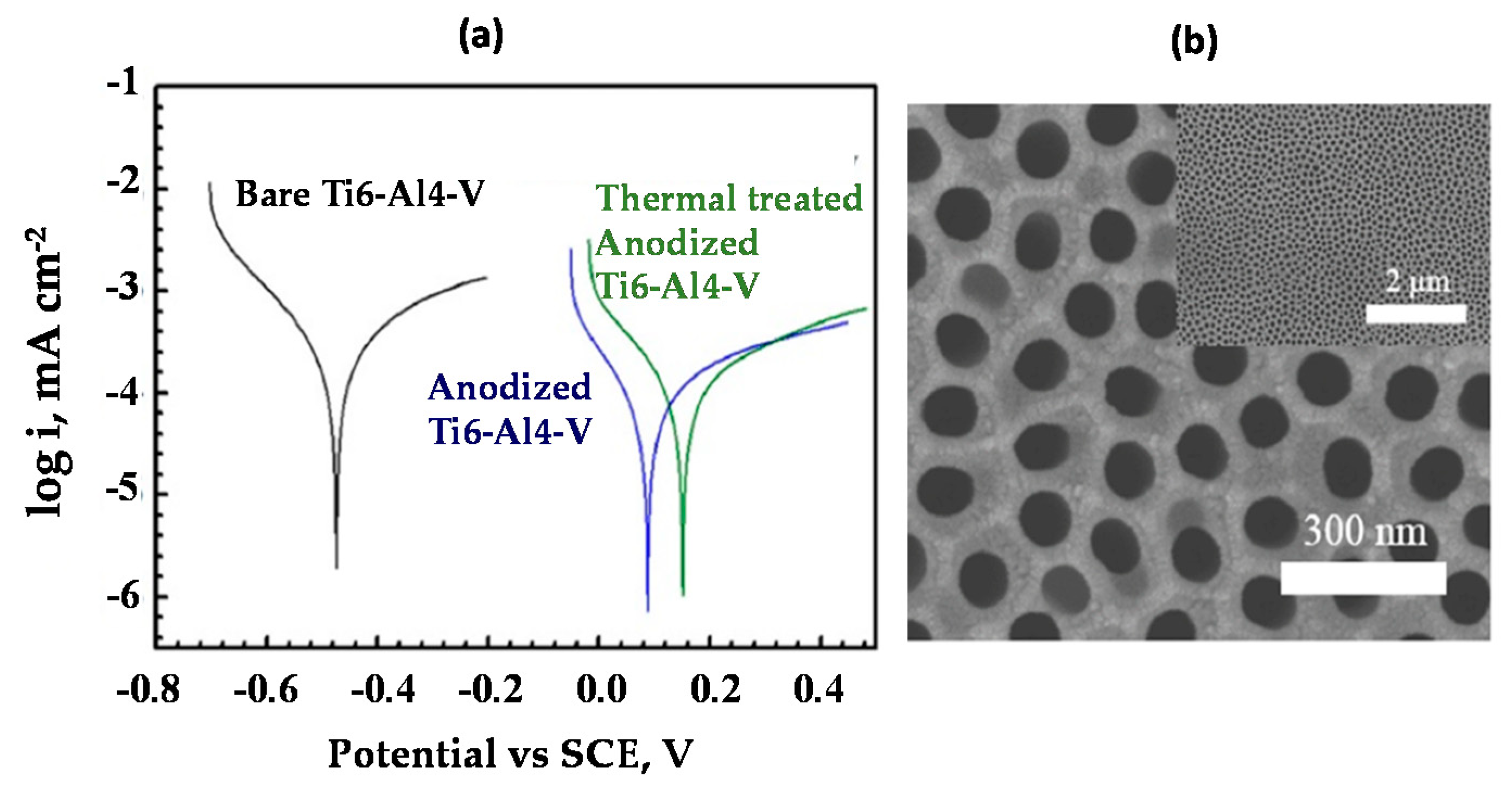 Coatings 11 00487 g012