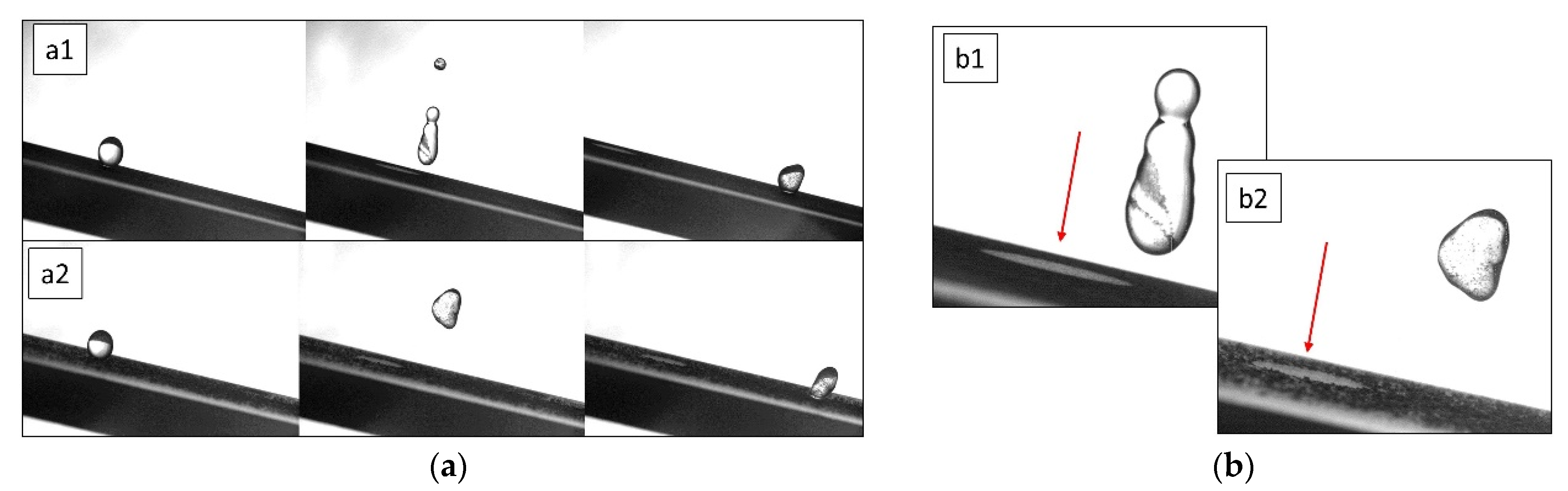 Coatings 11 00493 g005 Coatings 11 00493 g005