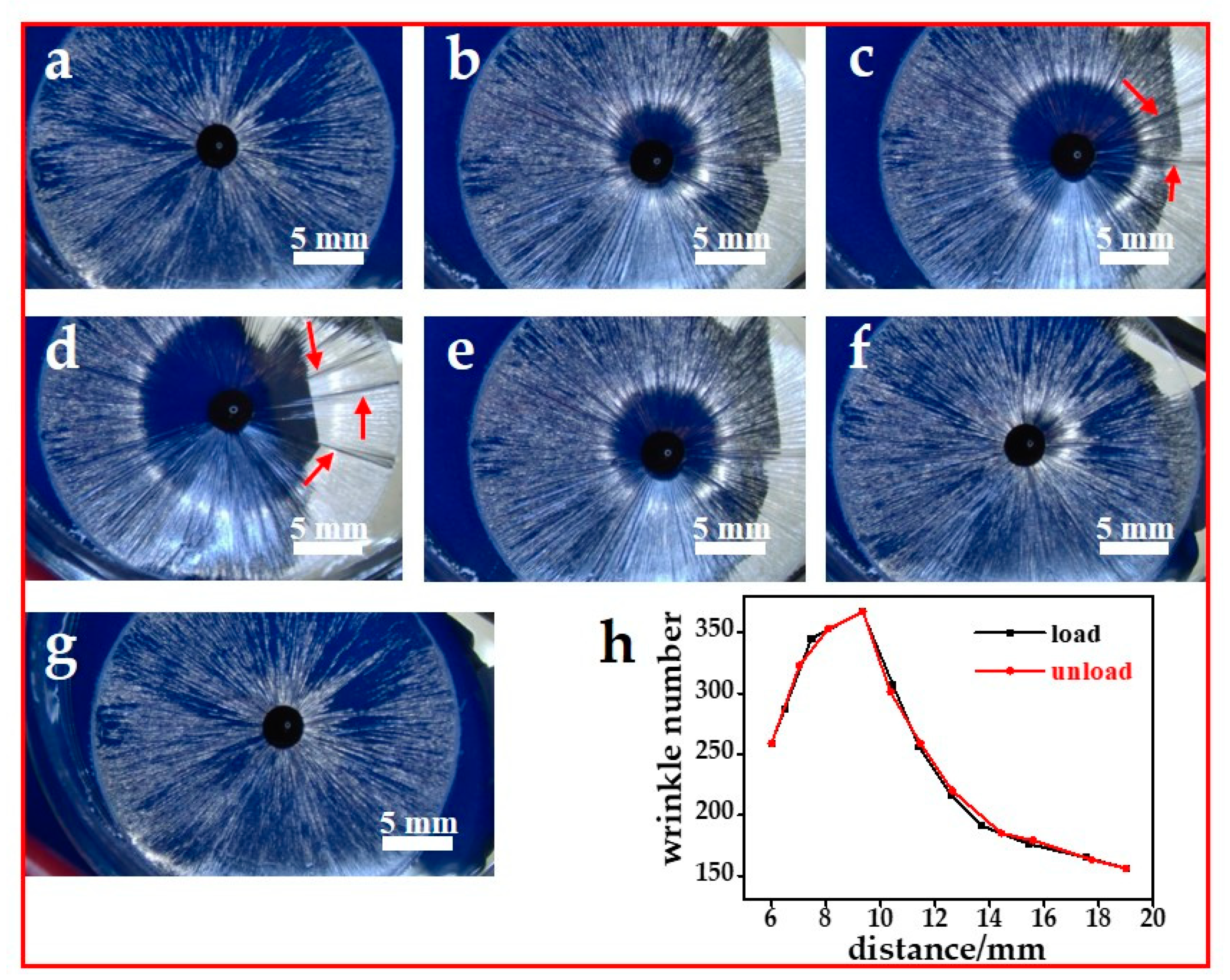 Coatings 11 00494 g002