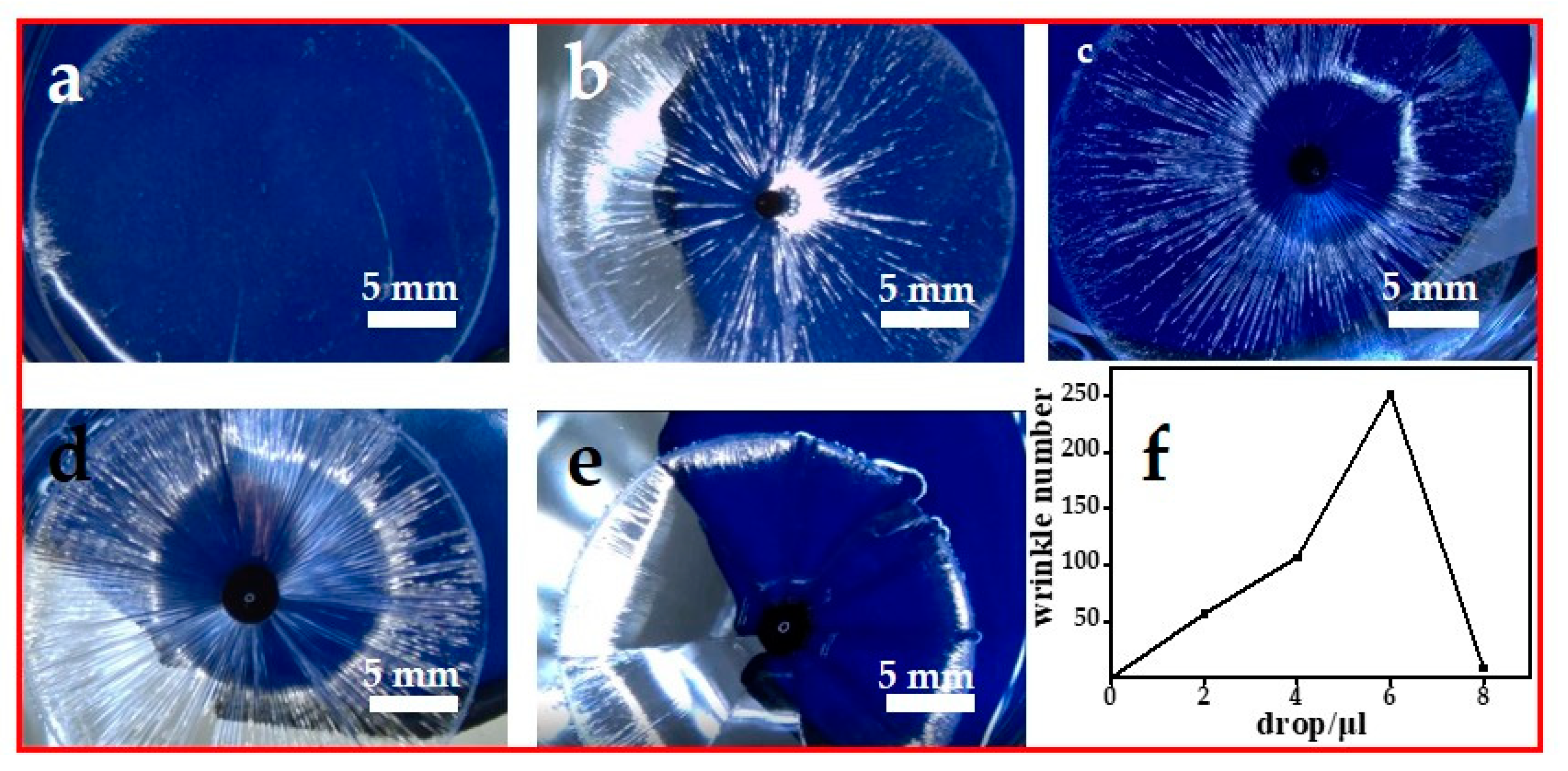 Coatings 11 00494 g004