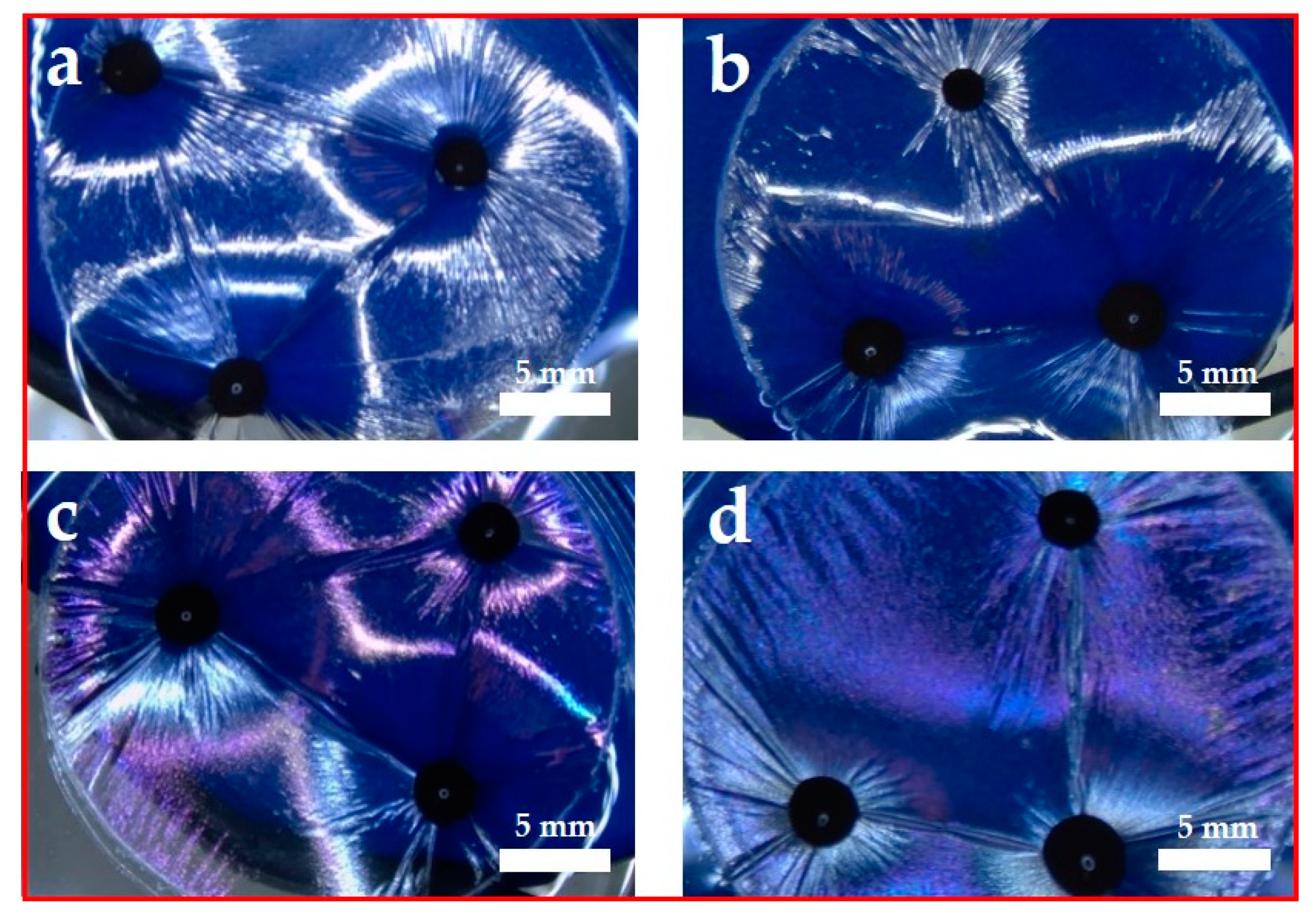 Coatings 11 00494 g005
