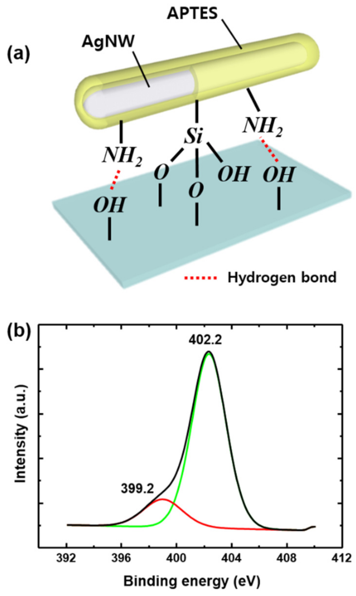 Coatings 11 00499 g003 Coatings 11 00499 g003