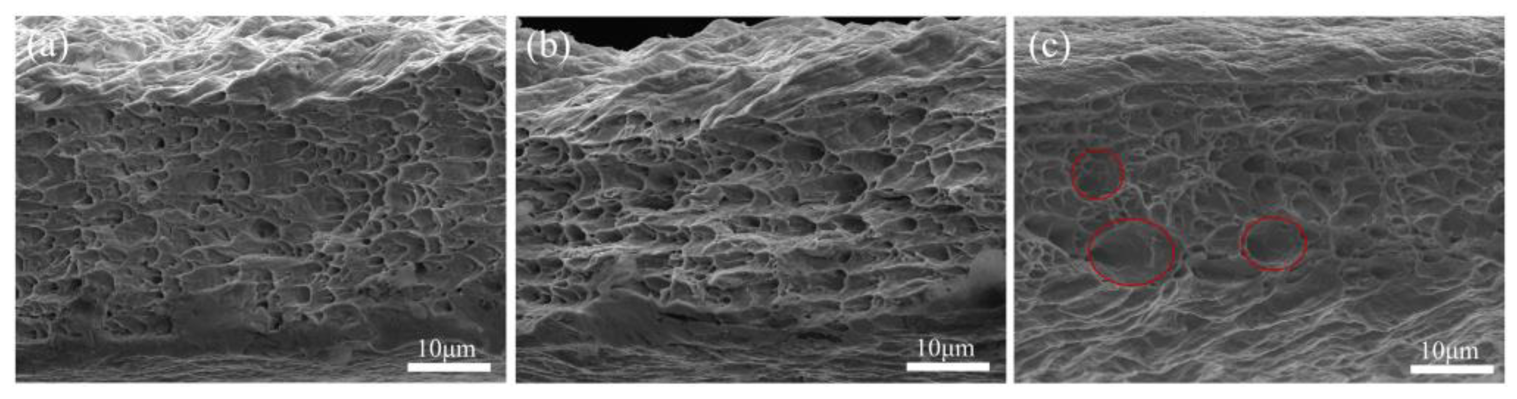 Coatings 11 00502 g009