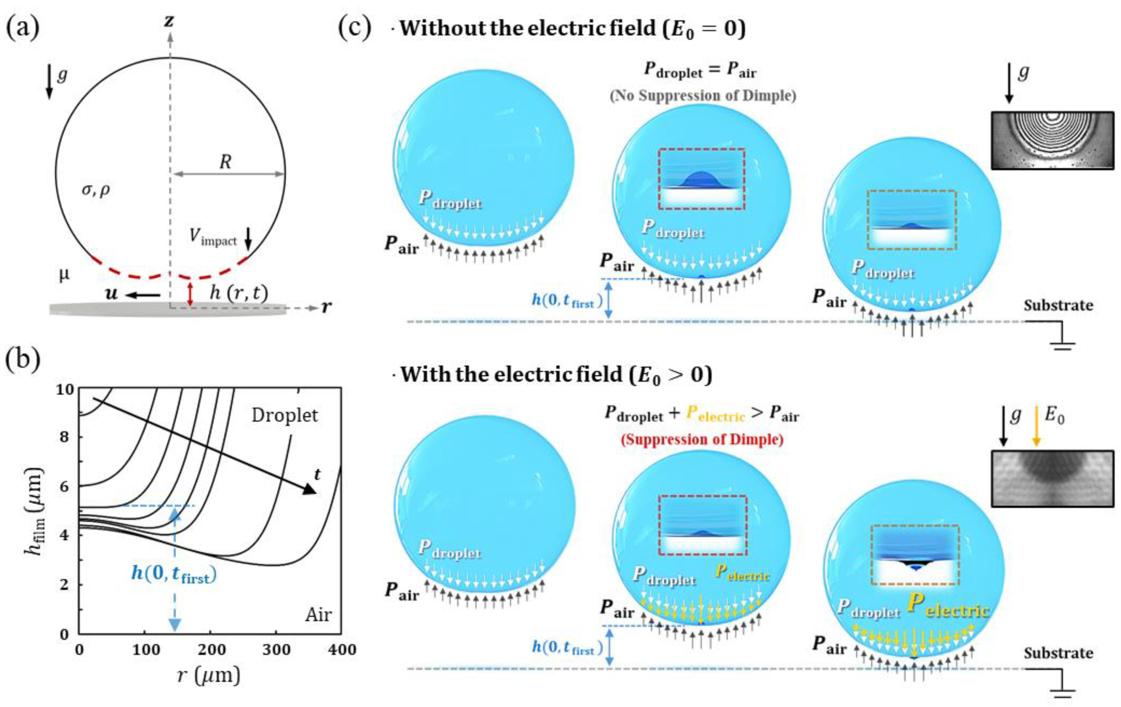 Coatings 11 00503 g001 Coatings 11 00503 g001