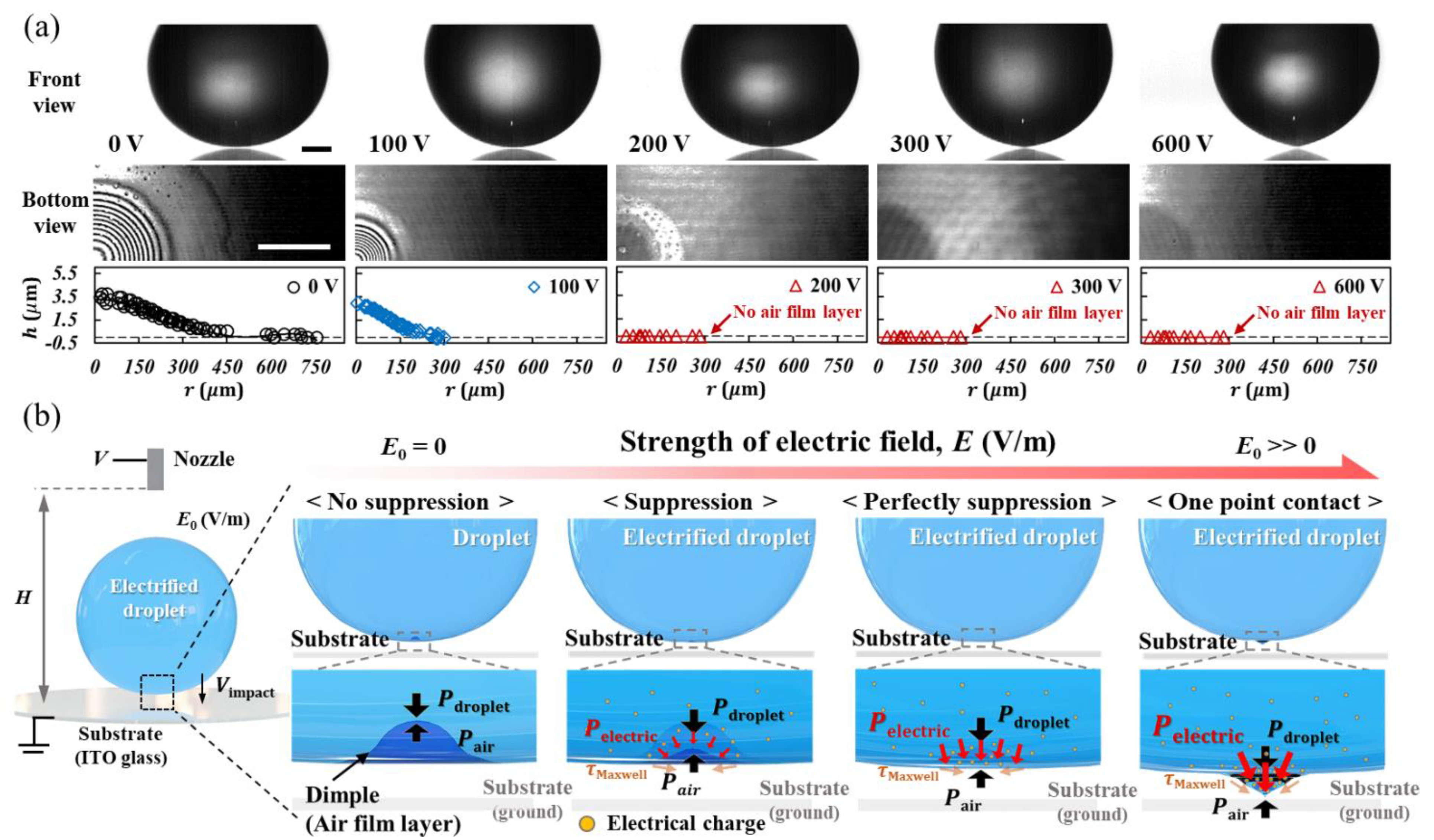 Coatings 11 00503 g004 Coatings 11 00503 g004