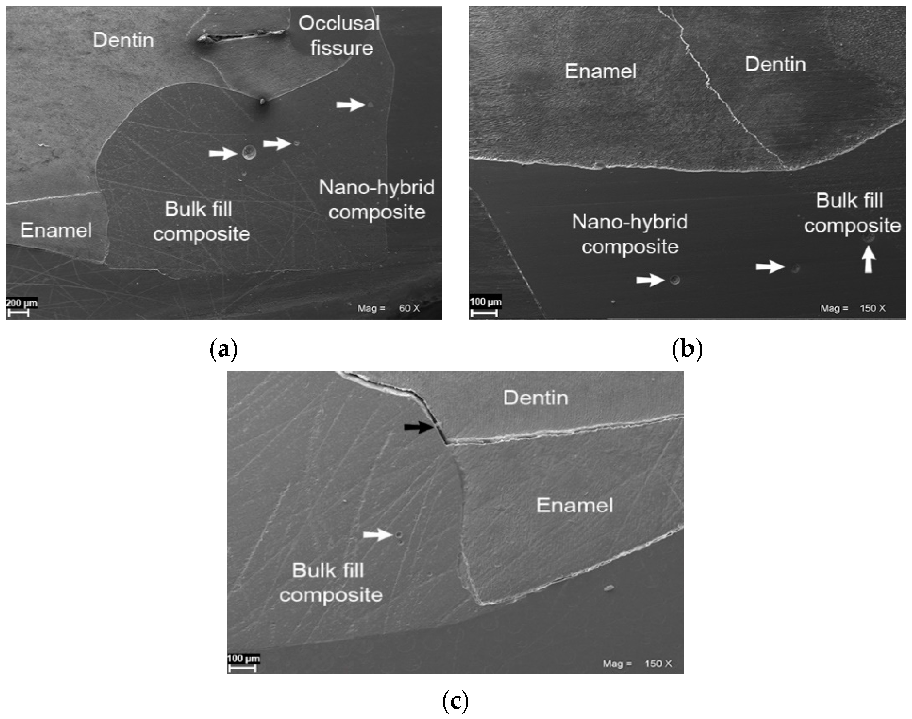 Coatings 11 00504 g001 Coatings 11 00504 g001