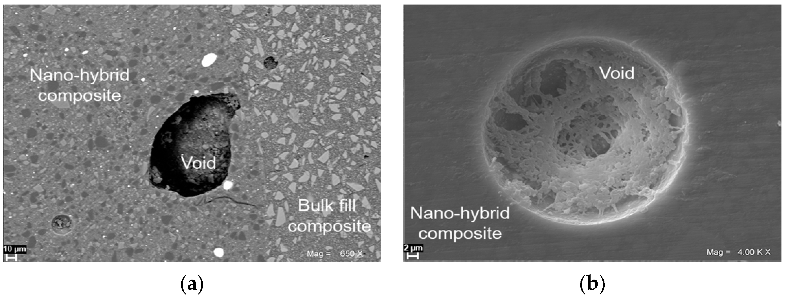 Coatings 11 00504 g003 Coatings 11 00504 g003