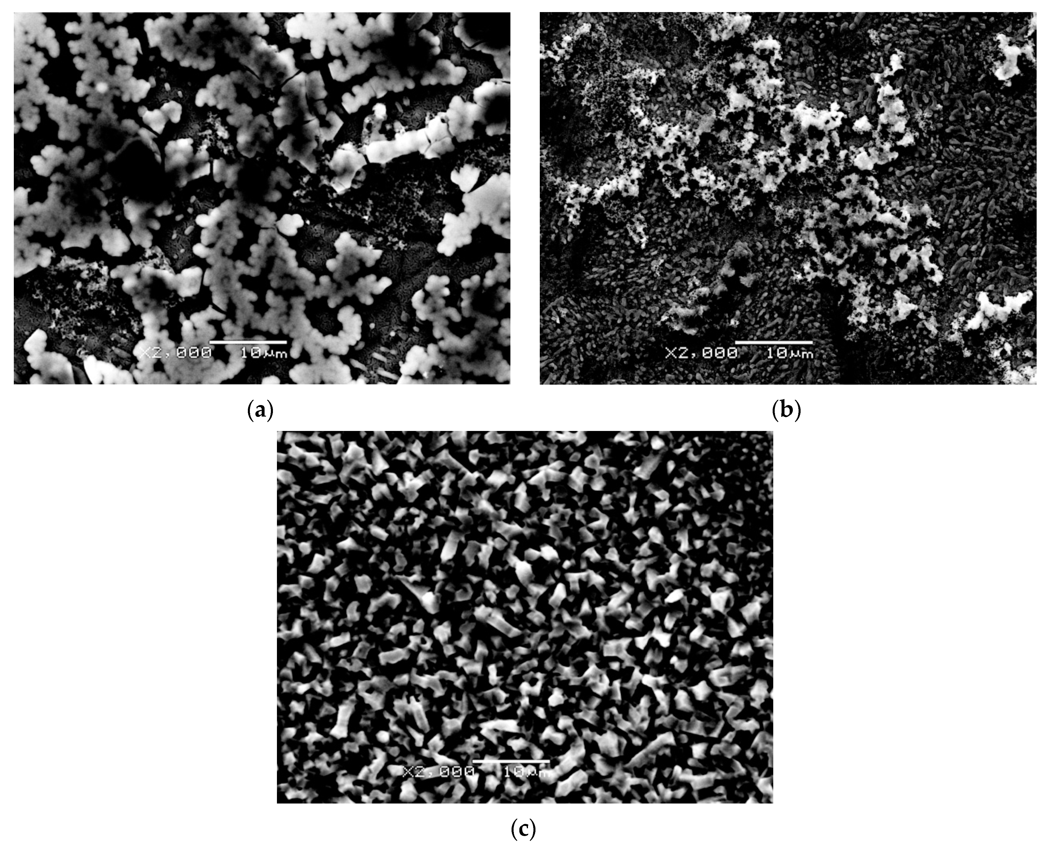 Coatings 11 00505 g012 Coatings 11 00505 g012