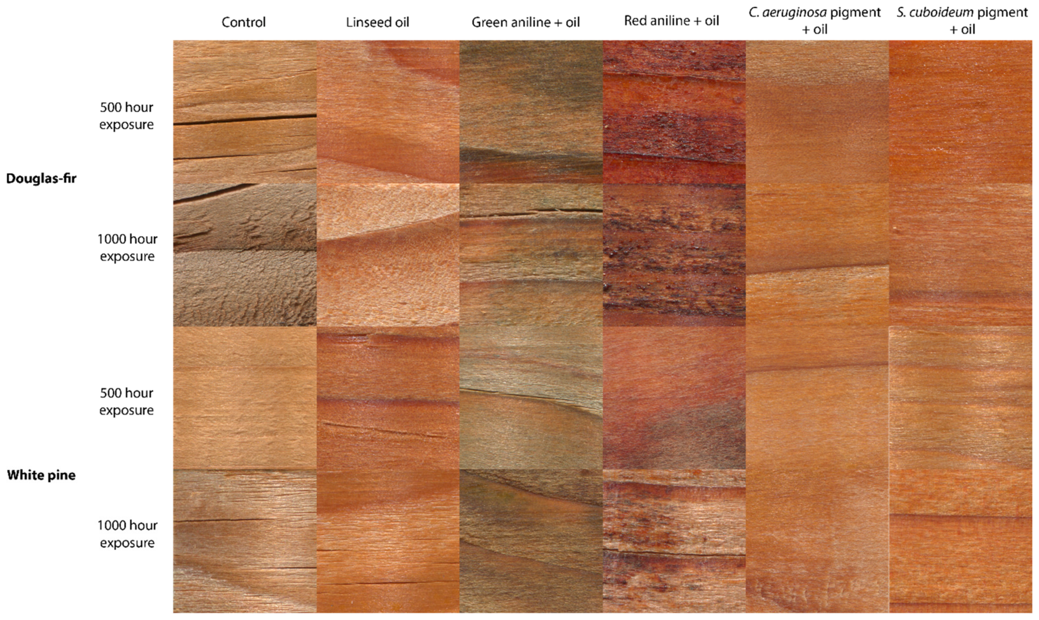 Coatings 11 00511 g001