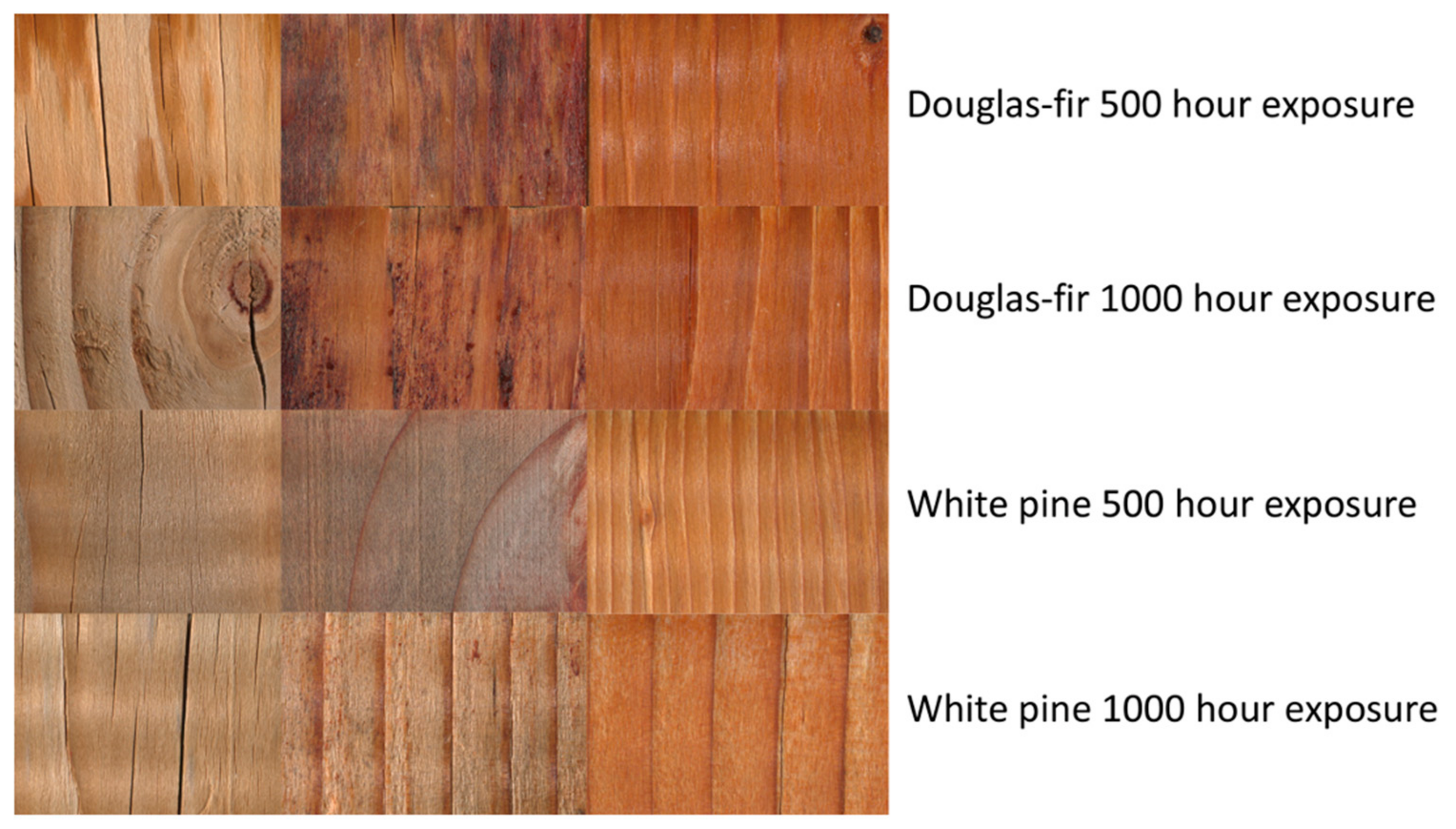 Coatings 11 00511 g002