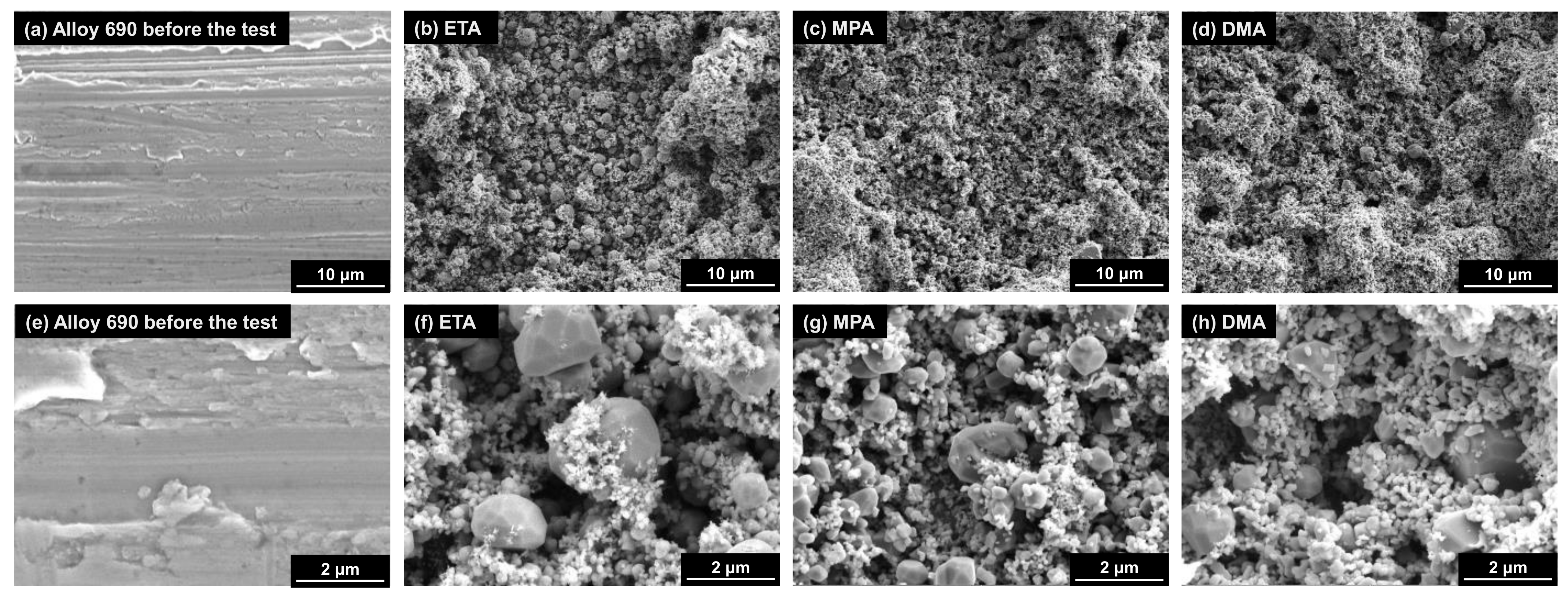 Coatings 11 00514 g005 Coatings 11 00514 g005