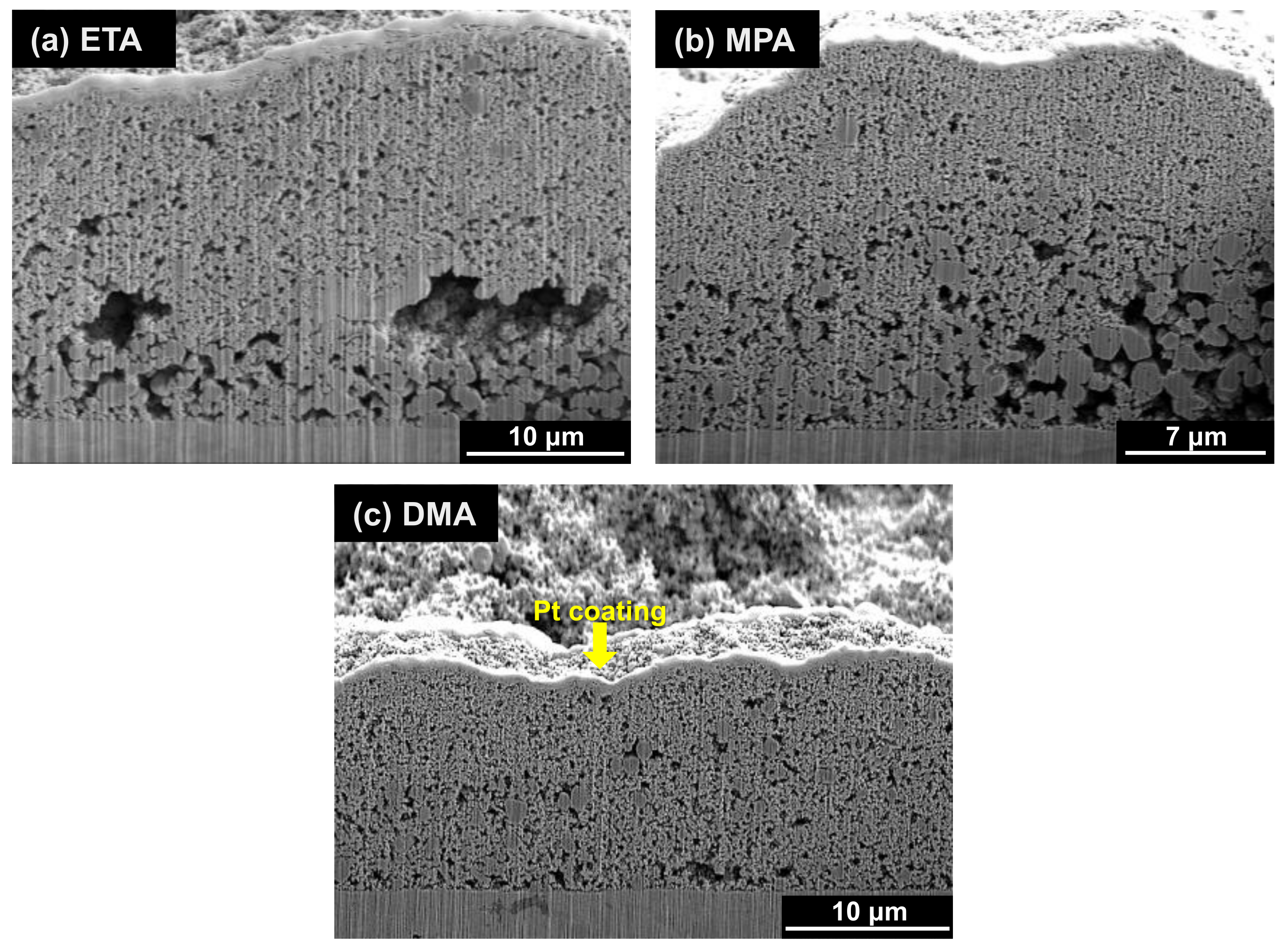 Coatings 11 00514 g009 Coatings 11 00514 g009