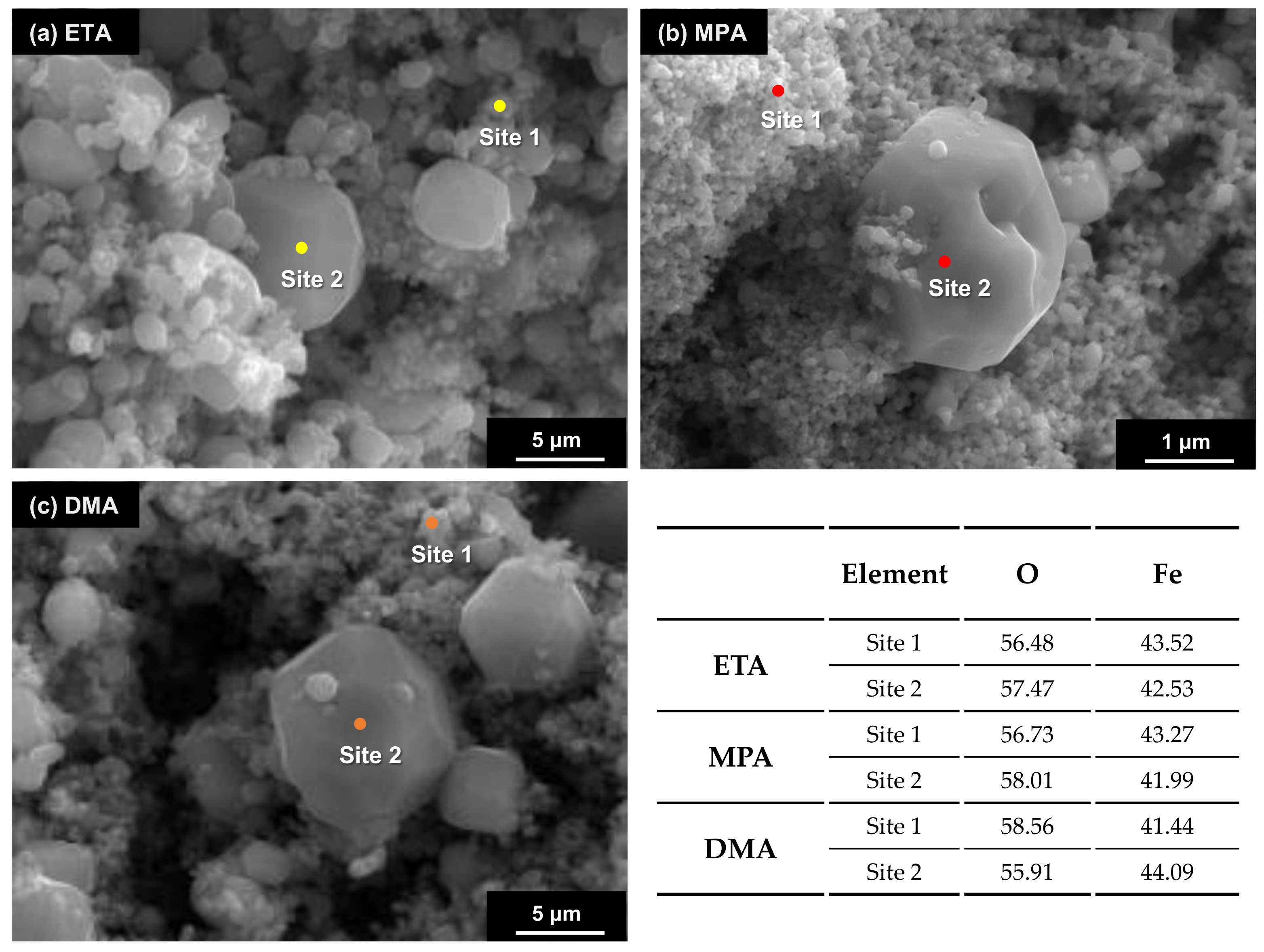 Coatings 11 00514 g012 Coatings 11 00514 g012