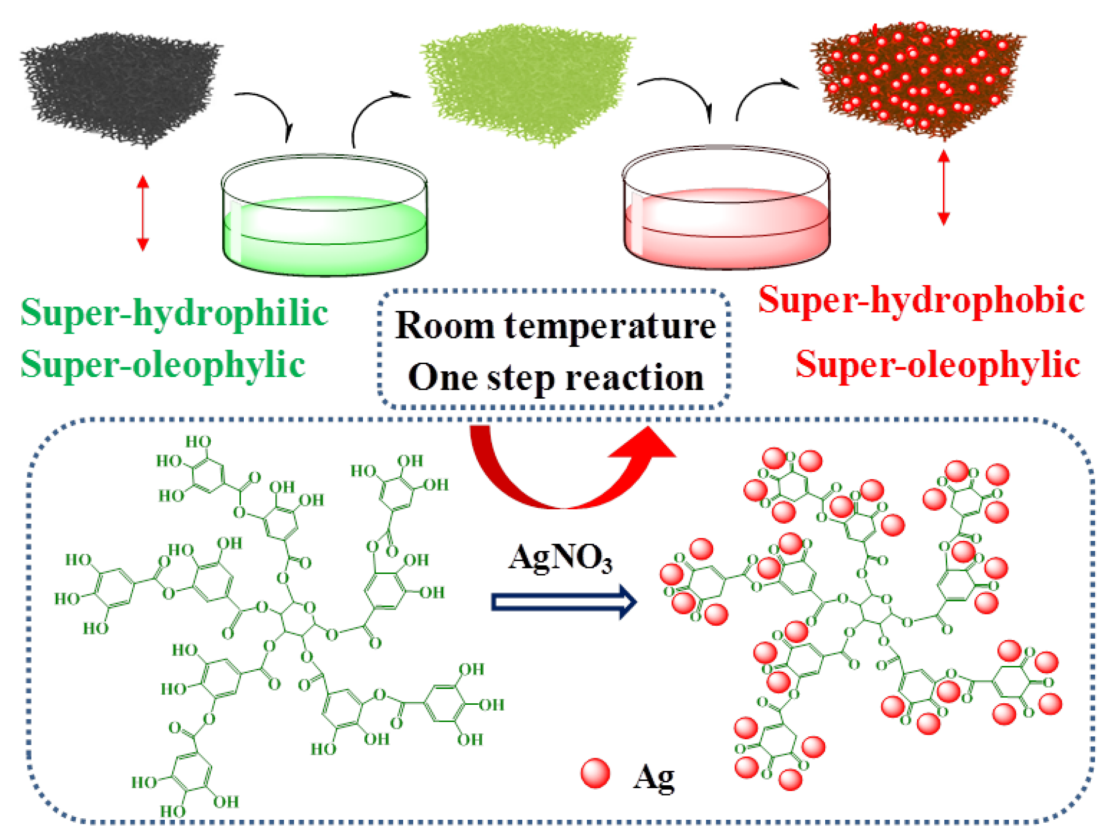 Coatings 11 00521 g001